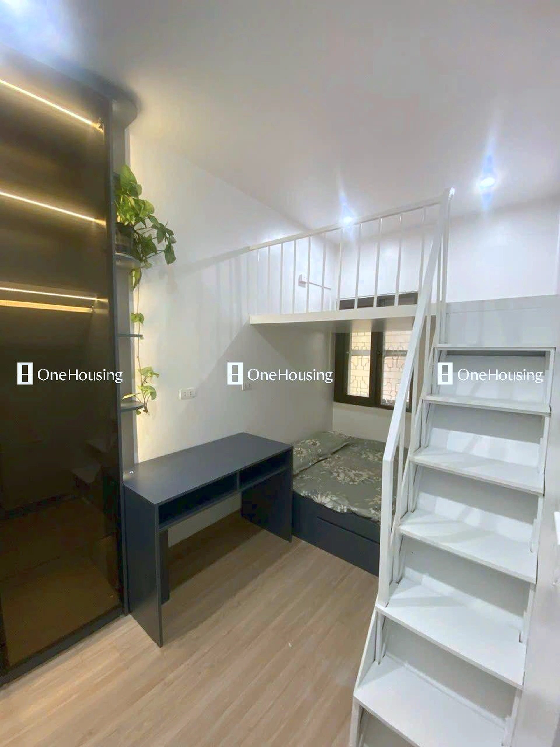 Nhà mặt ngõ cách Trần Quốc Hoàn 114.64m, P. Dịch Vọng Hậu, Q. Cầu Giấy, TP. Hà Nội