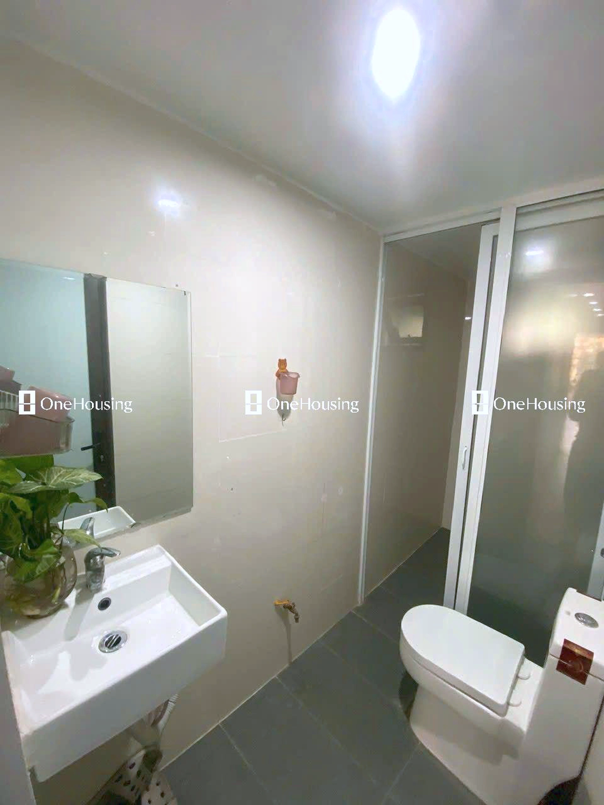 Nhà mặt ngõ cách Trần Quốc Hoàn 114.64m, P. Dịch Vọng Hậu, Q. Cầu Giấy, TP. Hà Nội