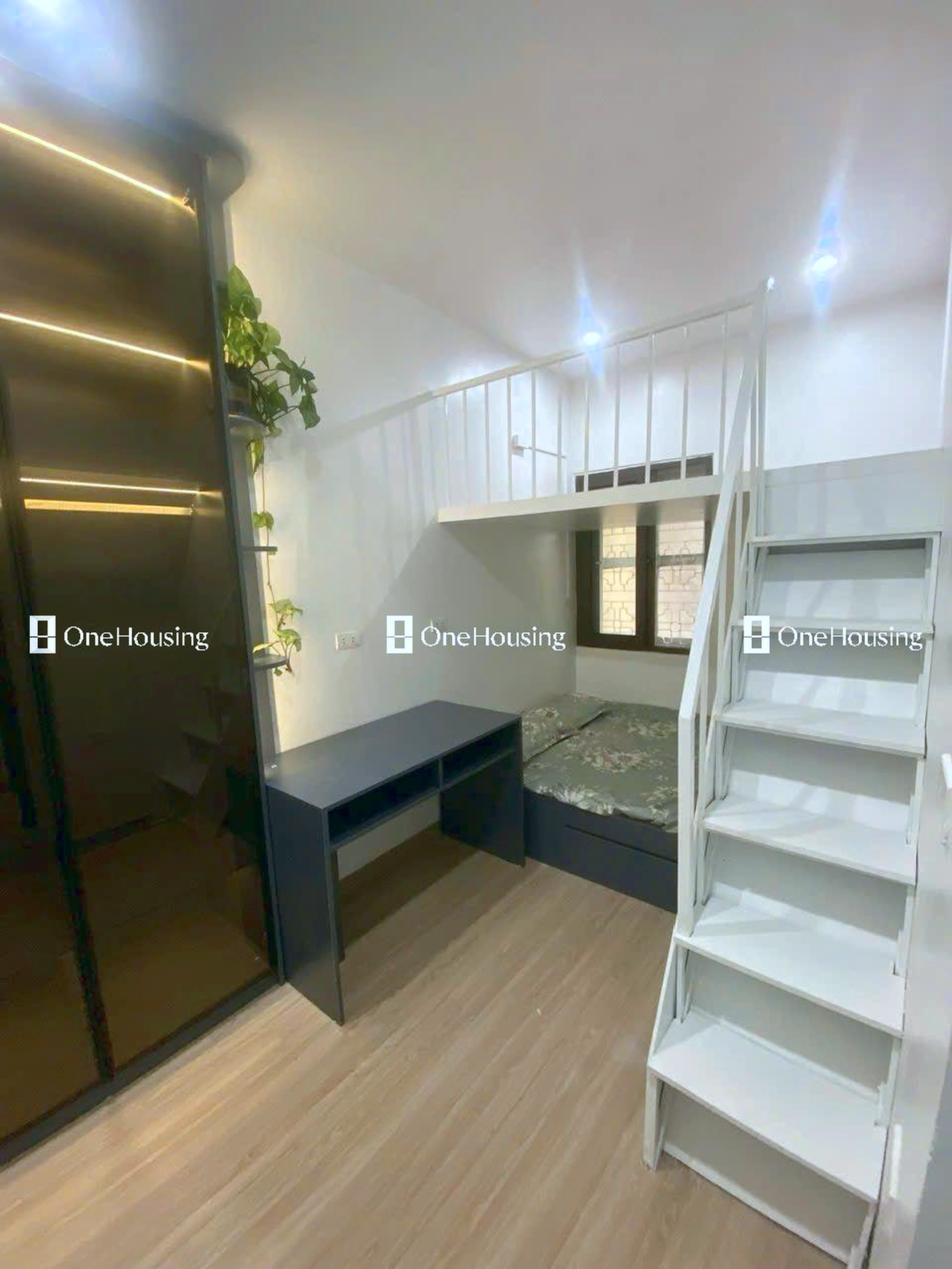 Nhà mặt ngõ cách Trần Quốc Hoàn 114.64m, P. Dịch Vọng Hậu, Q. Cầu Giấy, TP. Hà Nội
