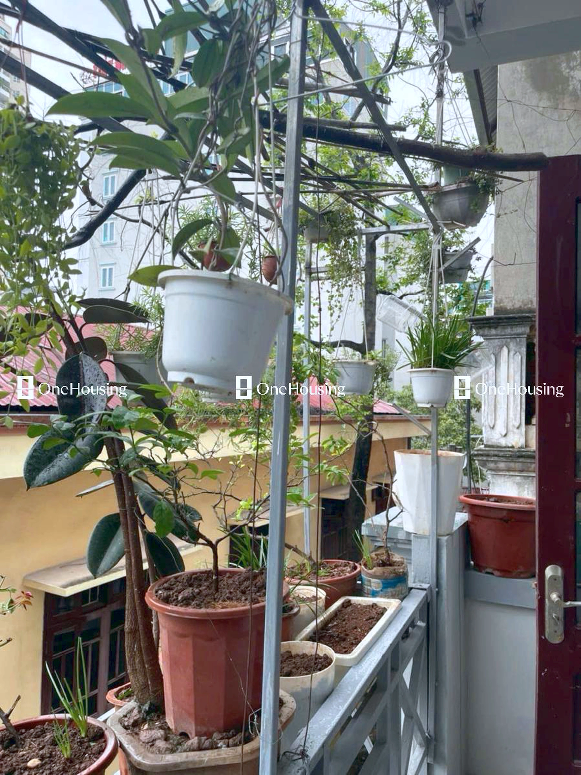 Nhà mặt ngõ cách Trần Quốc Vượng 50m, P. Dịch Vọng Hậu, Q. Cầu Giấy, TP. Hà Nội
