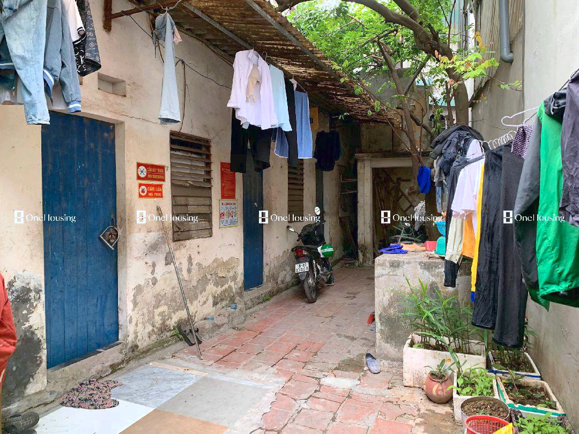 Nhà mặt ngõ cách Mậu Lương 20m, P. Kiến Hưng, Q. Hà Đông, TP. Hà Nội