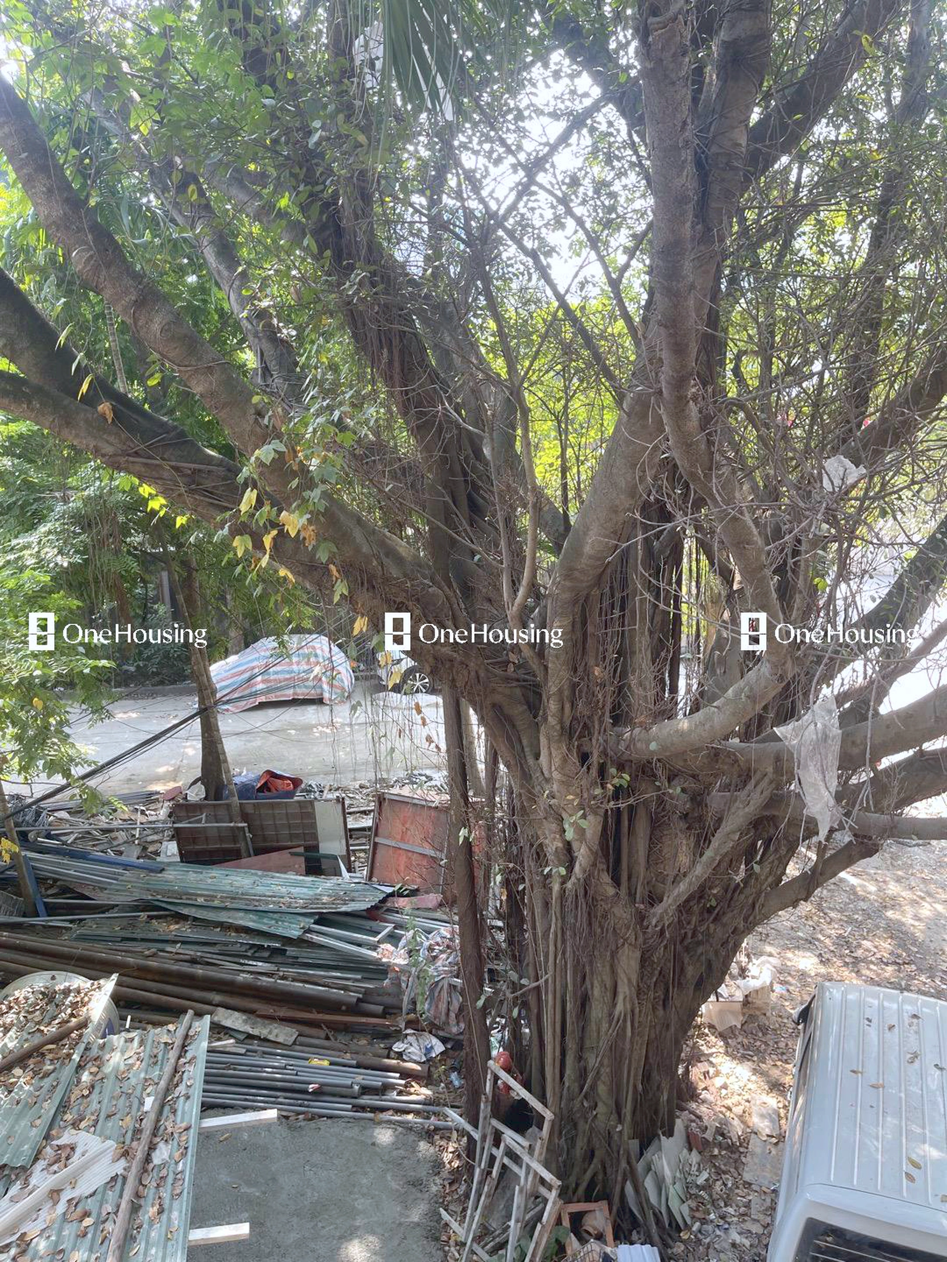 Nhà mặt ngõ cách Trần Quý Cáp 30m, P. Văn Chương, Q. Đống Đa, TP. Hà Nội