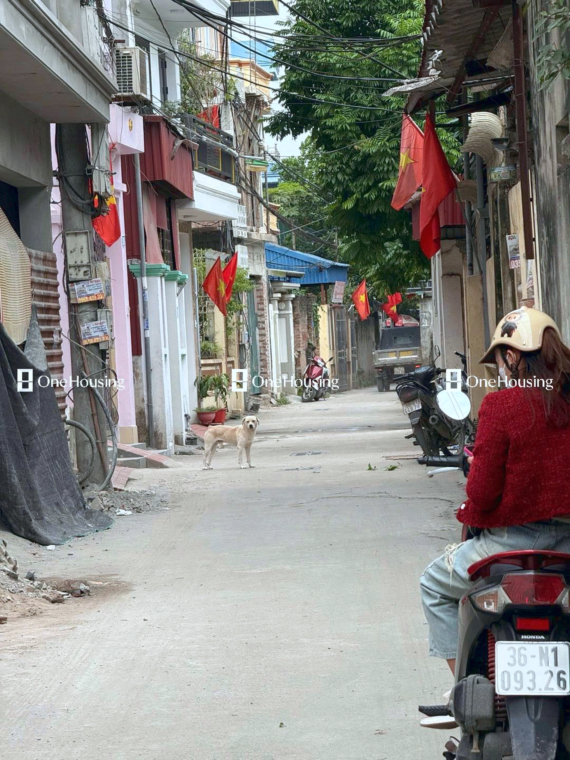 Nhà mặt ngõ cách Thúy Lĩnh 30m, P. Lĩnh Nam, Q. Hoàng Mai, TP. Hà Nội