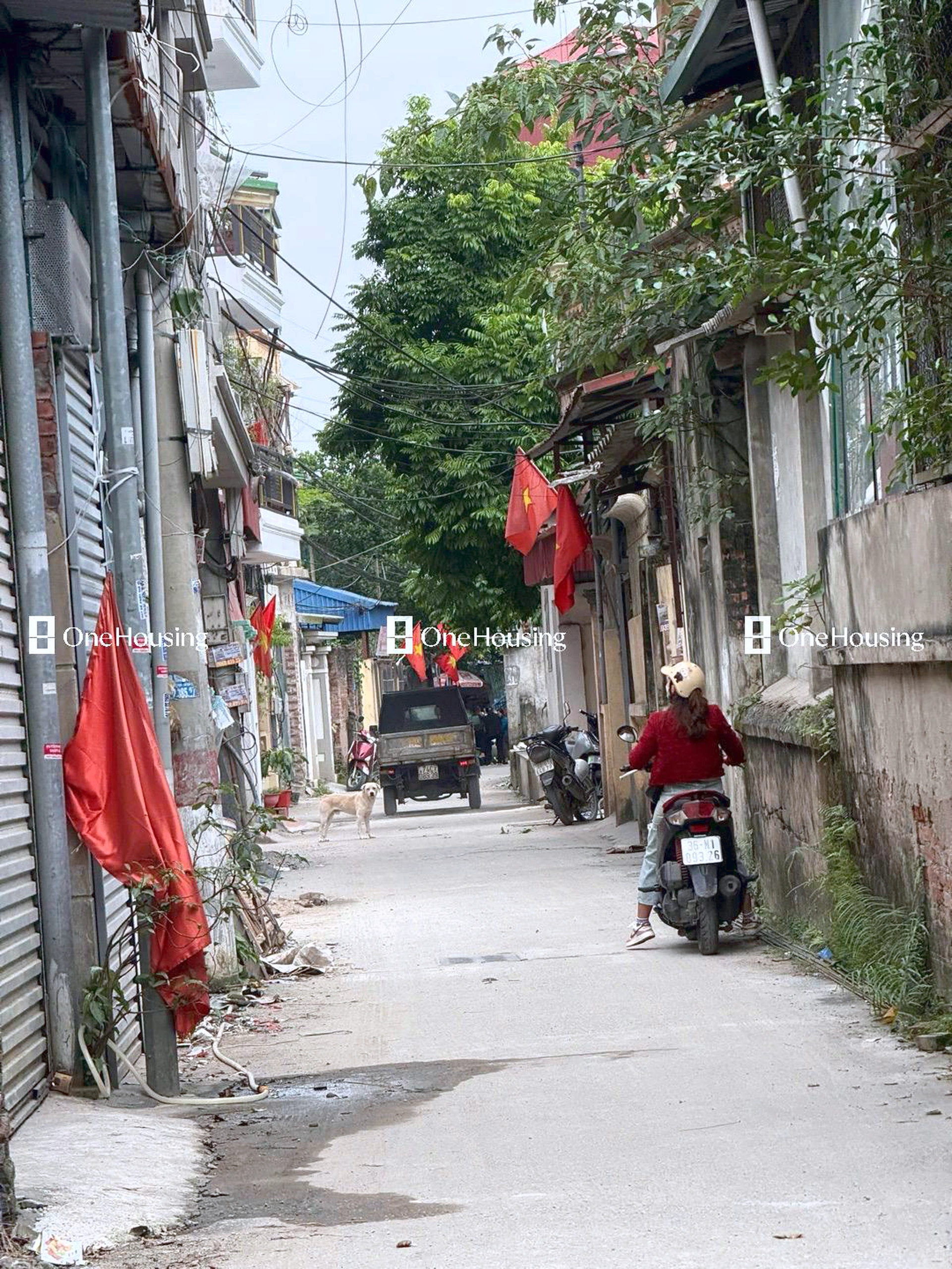 Nhà mặt ngõ cách Thúy Lĩnh 30m, P. Lĩnh Nam, Q. Hoàng Mai, TP. Hà Nội