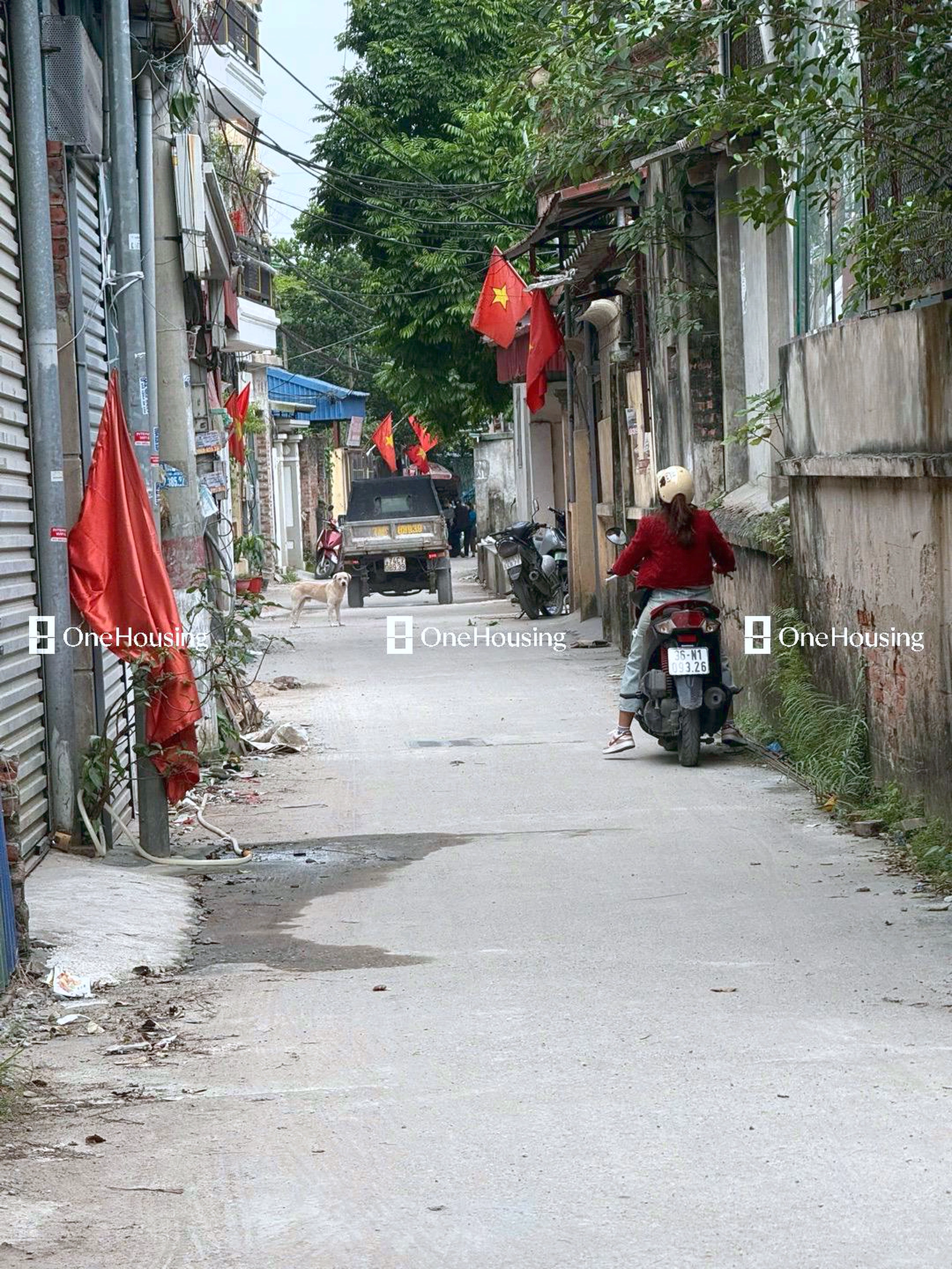 Nhà mặt ngõ cách Thúy Lĩnh 30m, P. Lĩnh Nam, Q. Hoàng Mai, TP. Hà Nội