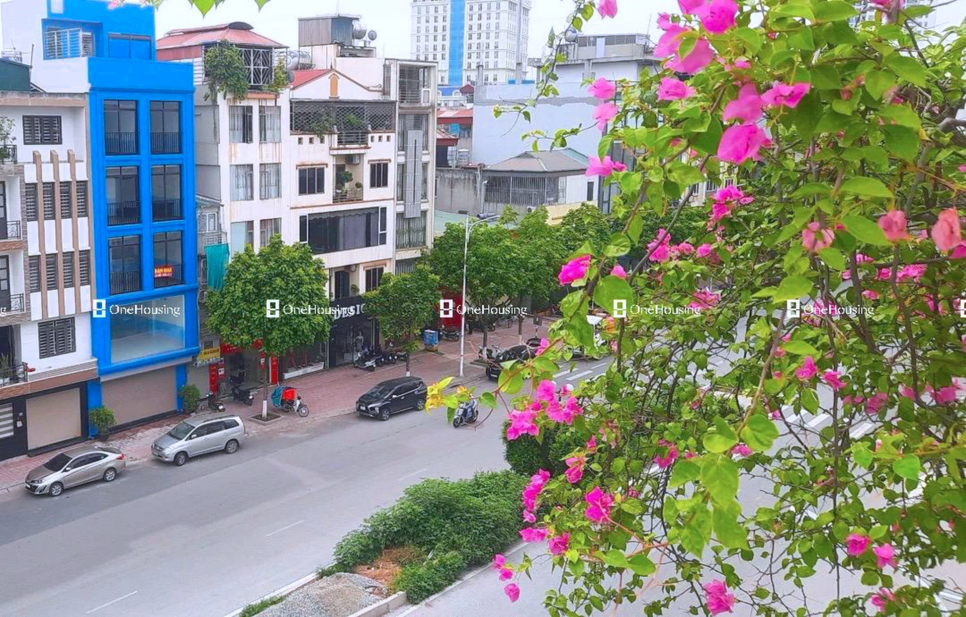 Nhà mặt phố Nguyễn Tuân, P. Thanh Xuân Trung, Q. Thanh Xuân, TP. Hà Nội