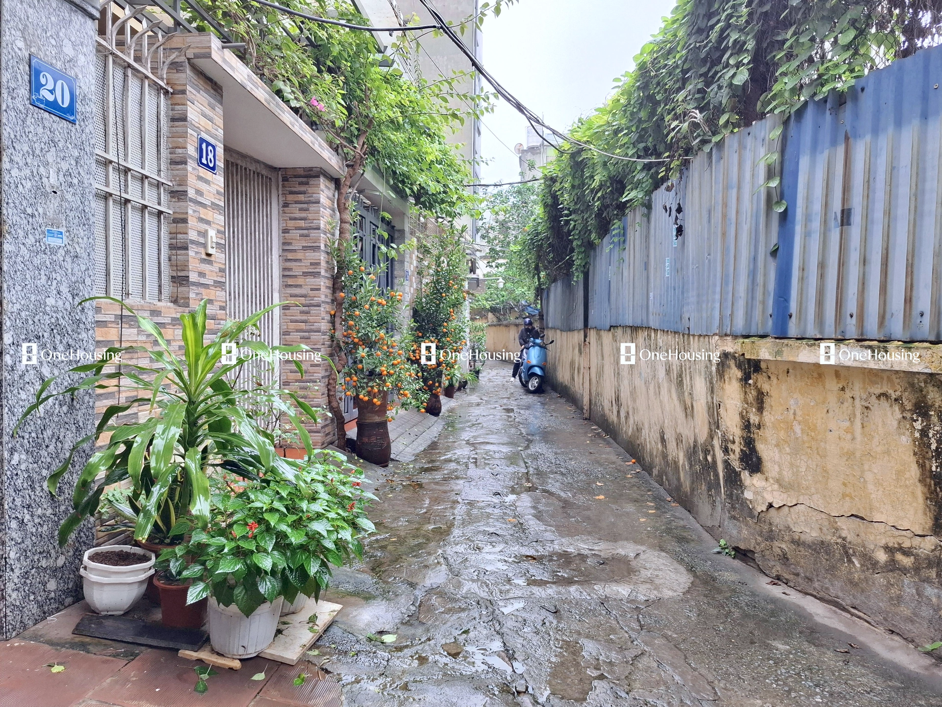 Onehousing image