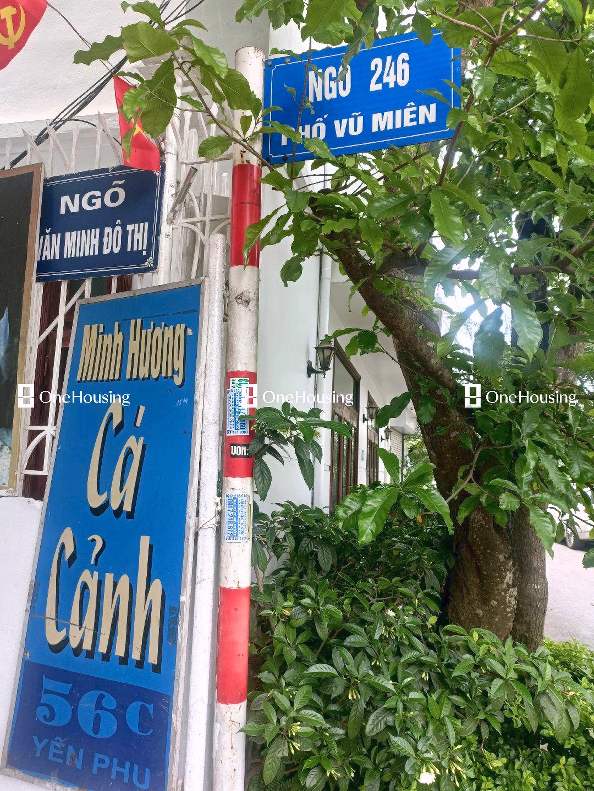 Nhà mặt ngõ cách Vũ Miên 120m, P. Yên Phụ, Q. Tây Hồ, TP. Hà Nội