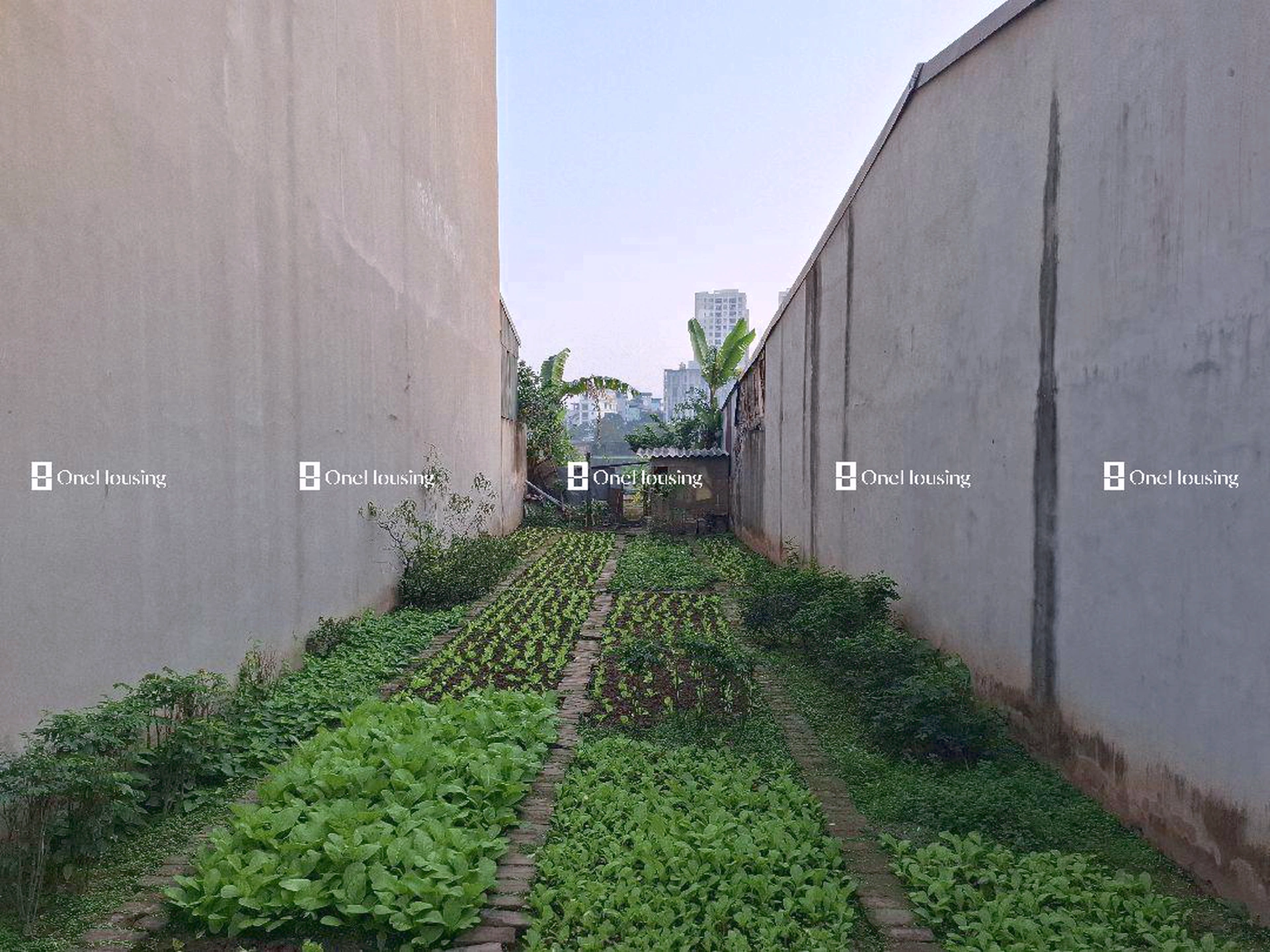 Đất nền cách Tam Trinh 30m, P. Yên Sở, Q. Hoàng Mai, TP. Hà Nội