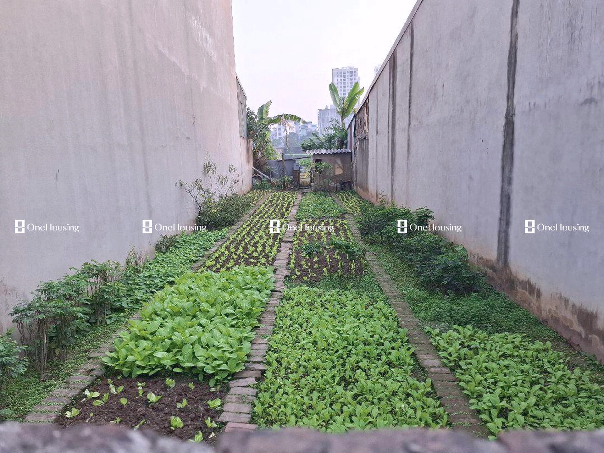 Đất nền cách Tam Trinh 30m, P. Yên Sở, Q. Hoàng Mai, TP. Hà Nội