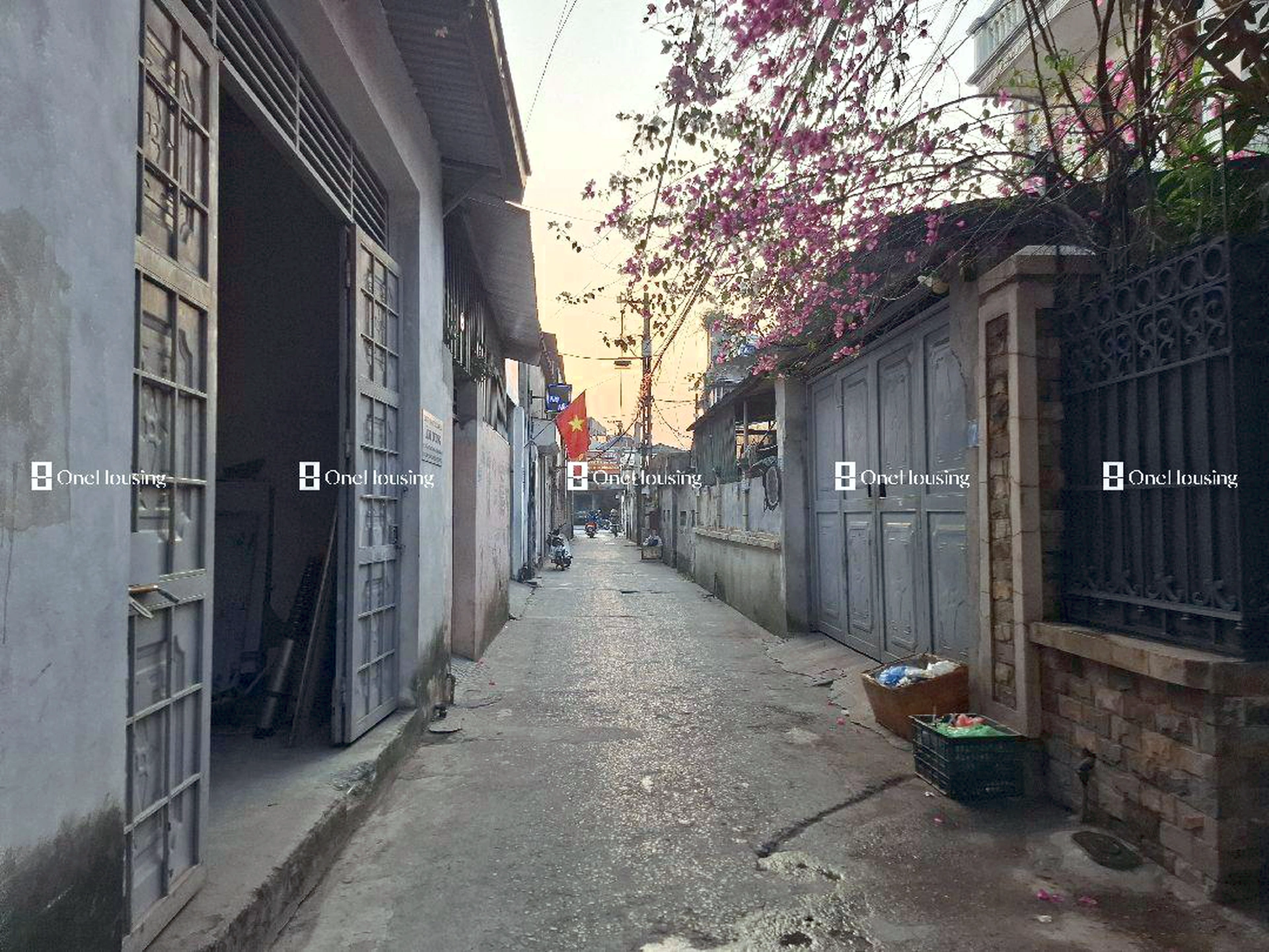 Đất nền cách Tam Trinh 30m, P. Yên Sở, Q. Hoàng Mai, TP. Hà Nội