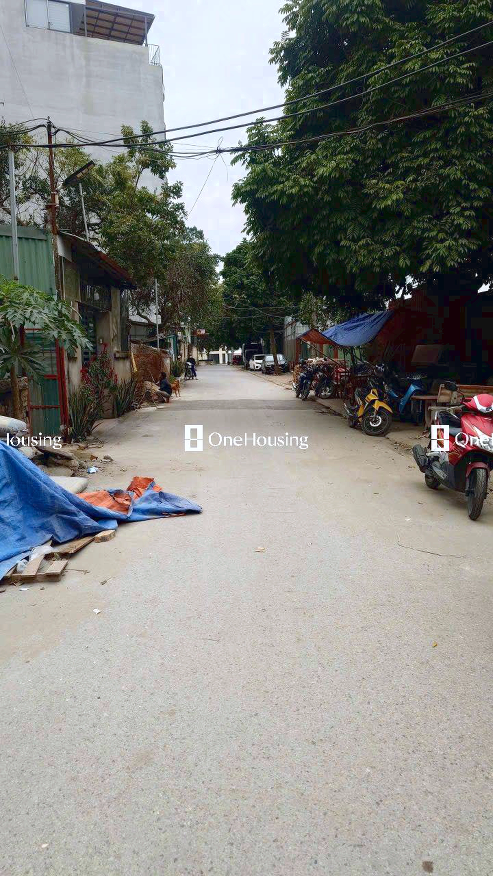 Đất nền cách Ngọc Thụy (mặt đê và đường gom chân đê) 50m, P. Ngọc Thụy, Q. Long Biên, TP. Hà Nội