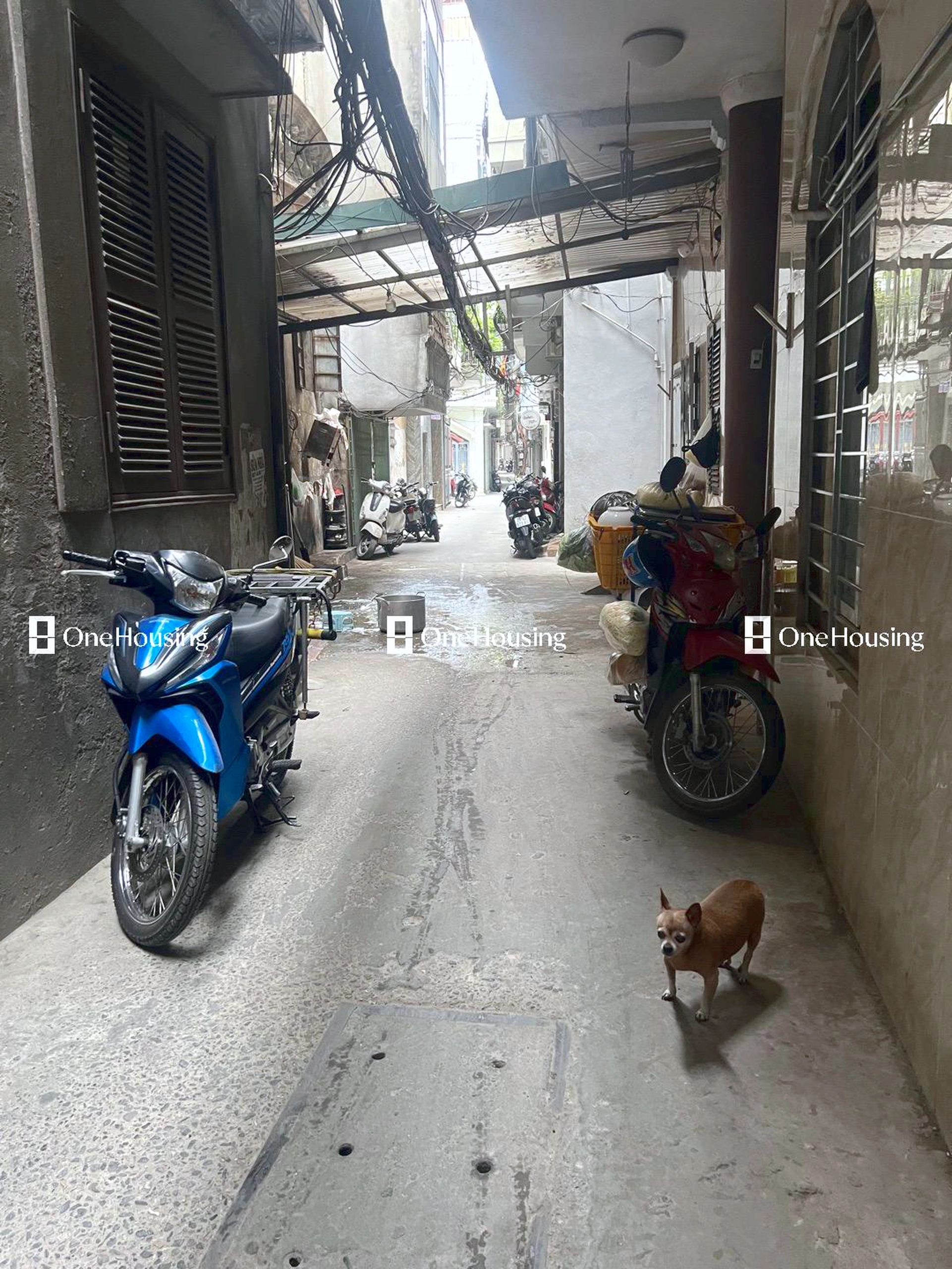 Nhà mặt ngõ cách Lê Duẩn (đi qua đường tàu) 40m, P. Văn Miếu, Q. Đống Đa, TP. Hà Nội