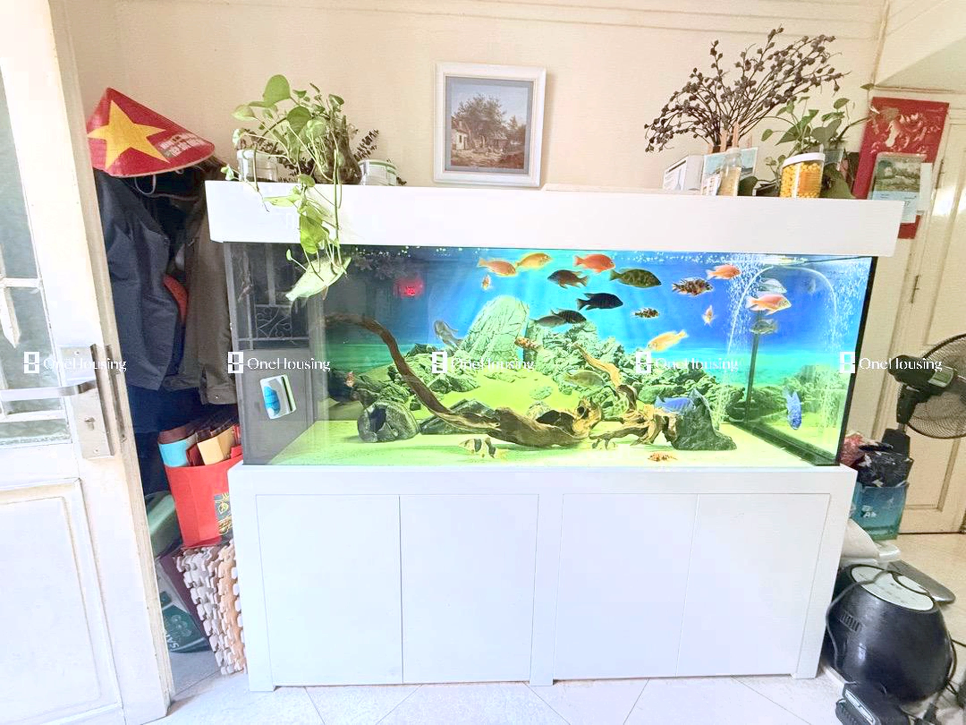 Nhà mặt ngõ cách Nguyễn Thái Học 30m, P. Văn Miếu, Q. Đống Đa, TP. Hà Nội