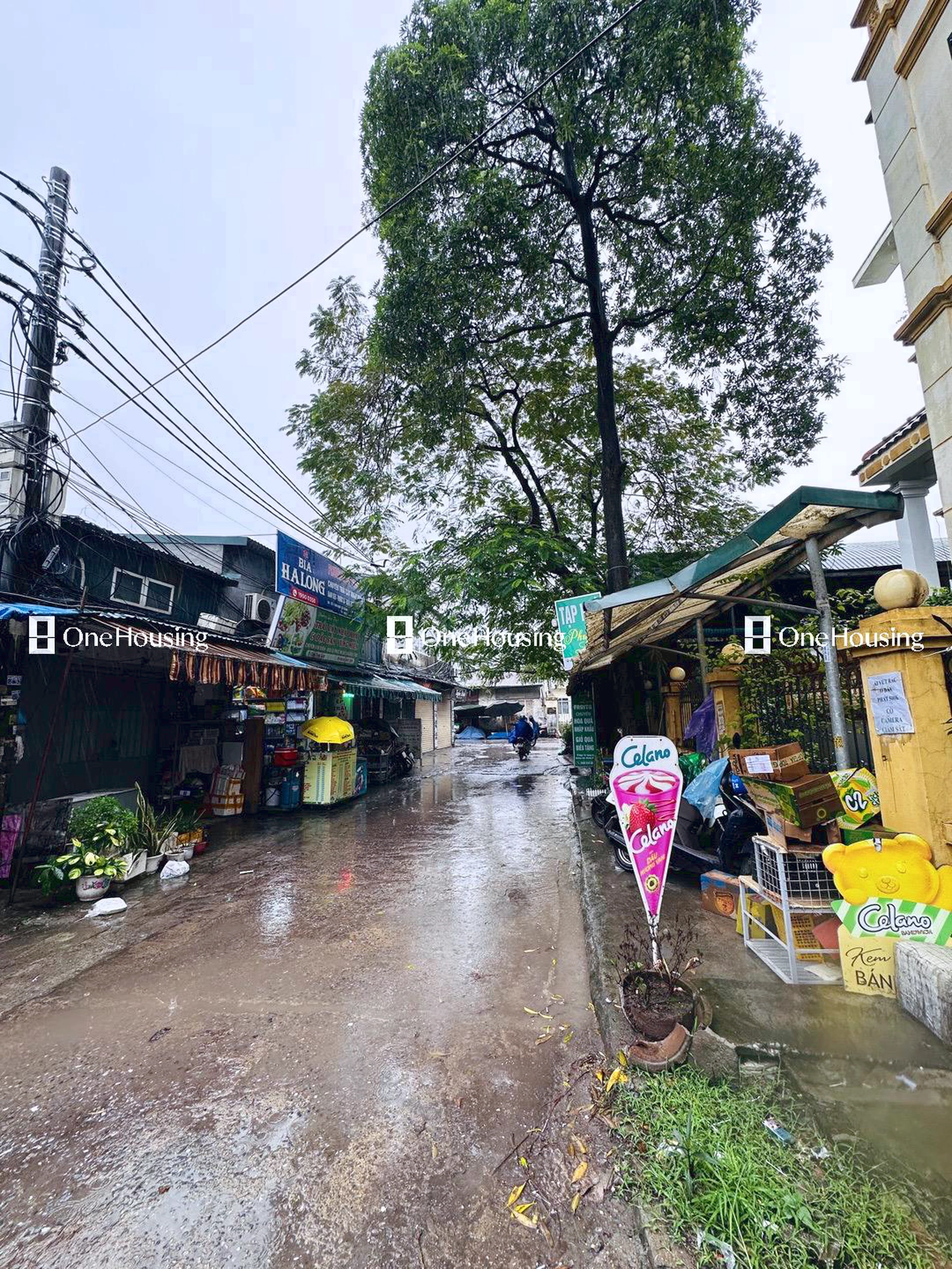 Nhà mặt ngõ cách Bằng B 50m, P. Hoàng Liệt, Q. Hoàng Mai, TP. Hà Nội