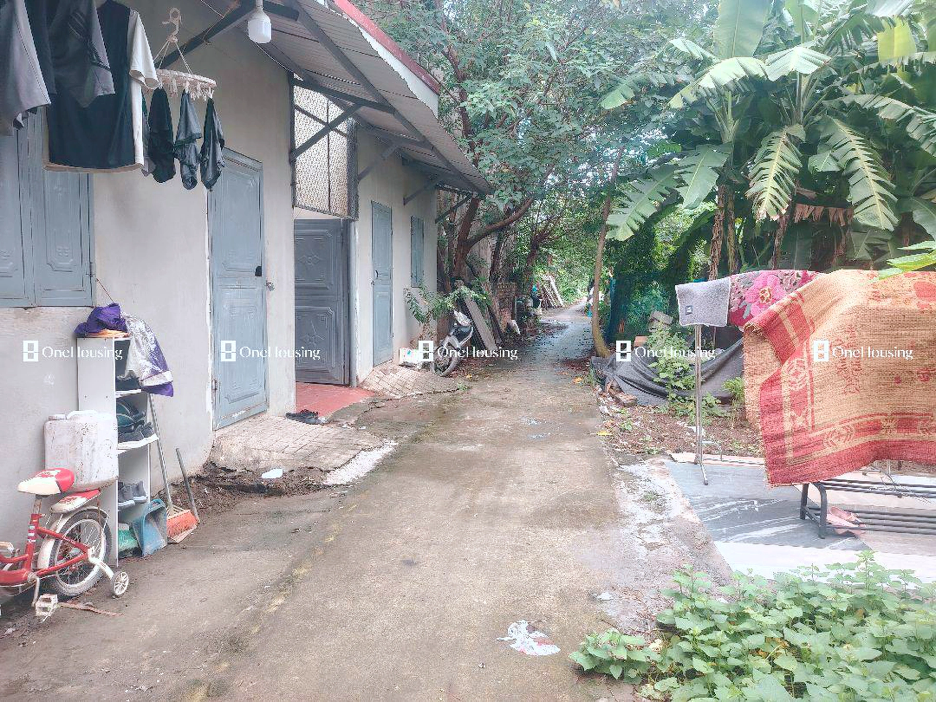 Nhà mặt ngõ cách Nguyễn Văn Linh 100m, P. Thạch Bàn, Q. Long Biên, TP. Hà Nội