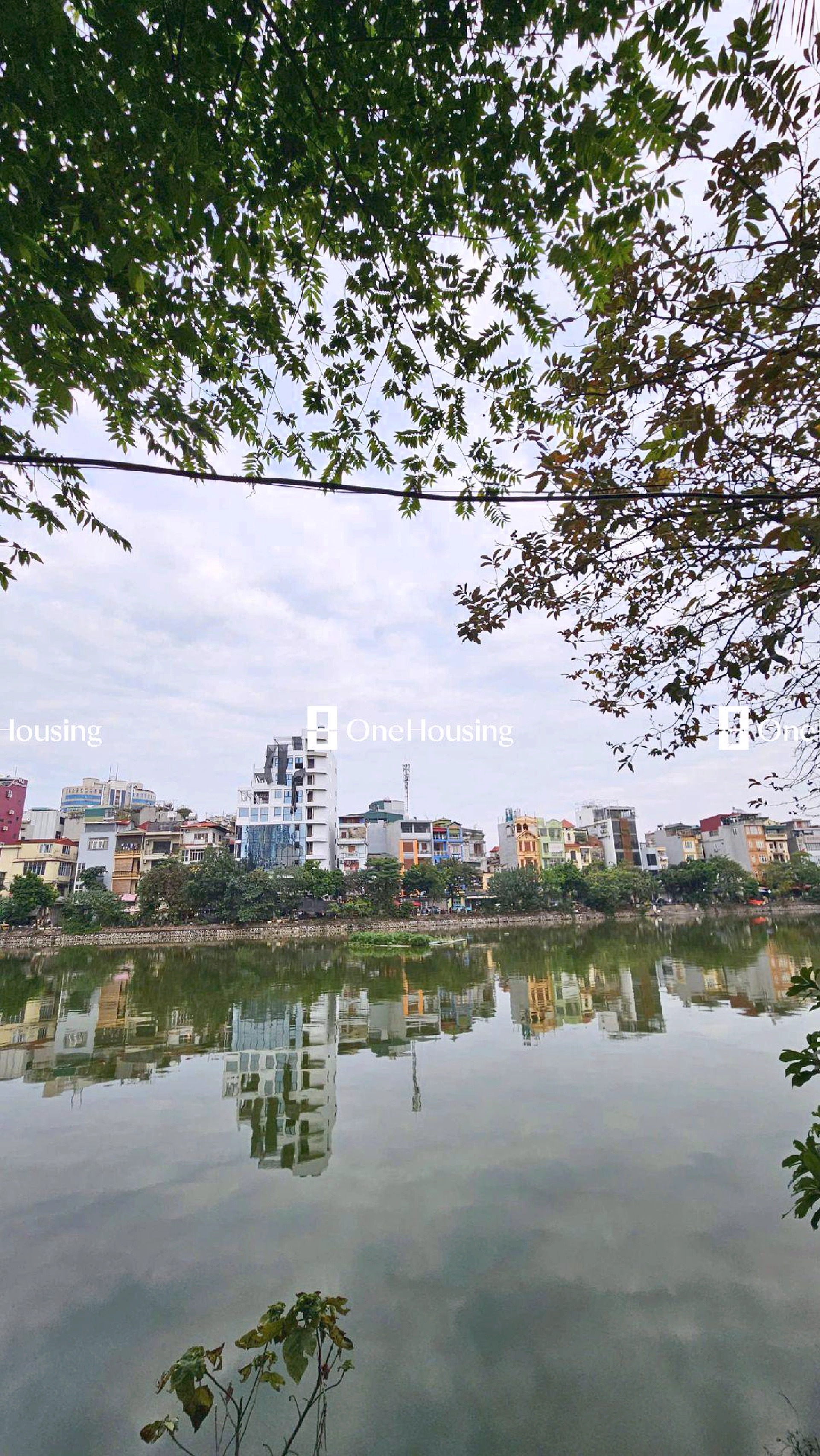 Nhà mặt ngõ cách Phương Mai 50m, P. Kim Liên, Q. Đống Đa, TP. Hà Nội