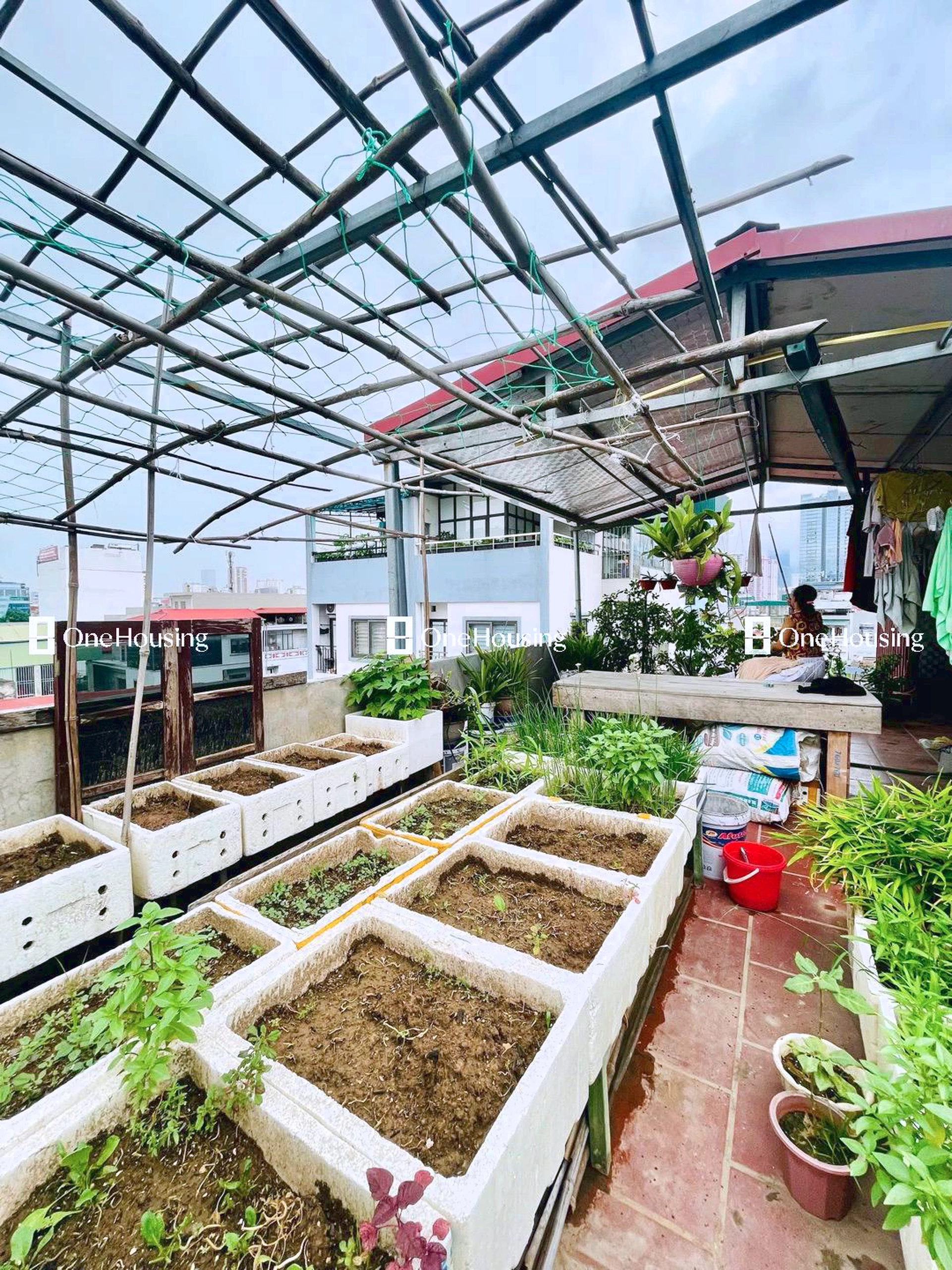 Nhà mặt ngõ cách Phạm Văn Đồng 50m, P. Mai Dịch, Q. Cầu Giấy, TP. Hà Nội