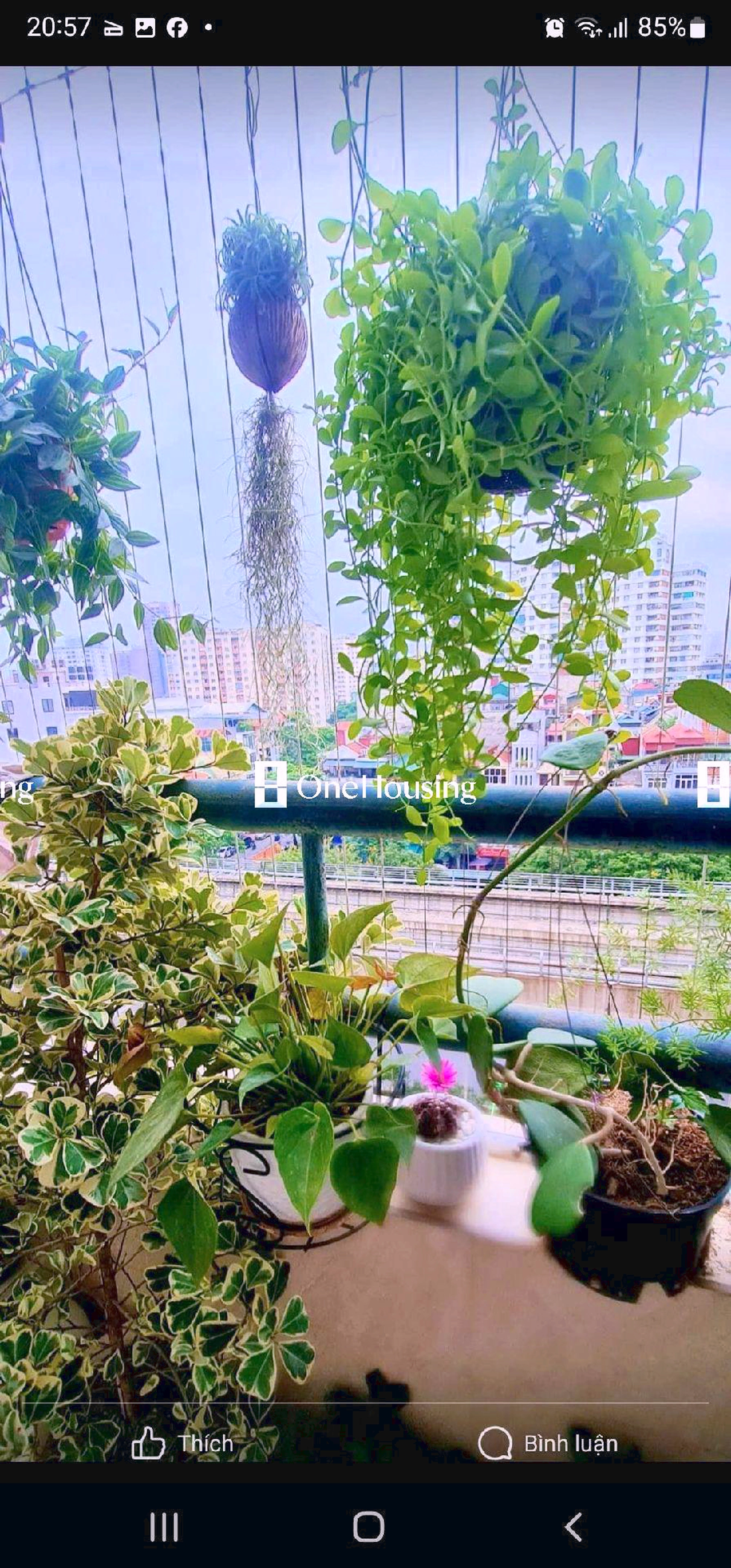 Nhà mặt phố Cầu Giấy, P. Dịch Vọng, Q. Cầu Giấy, TP. Hà Nội