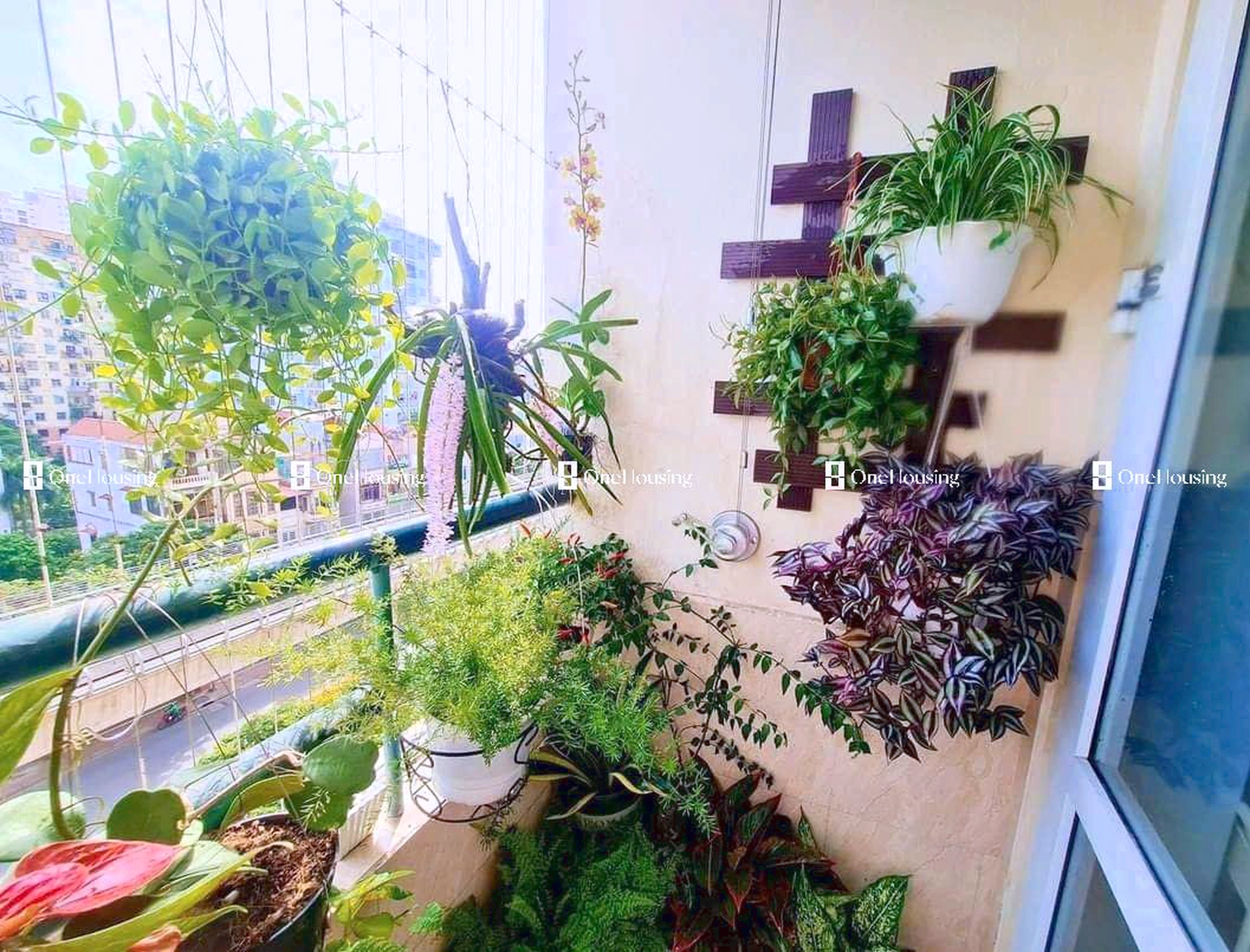 Nhà mặt phố Cầu Giấy, P. Dịch Vọng, Q. Cầu Giấy, TP. Hà Nội