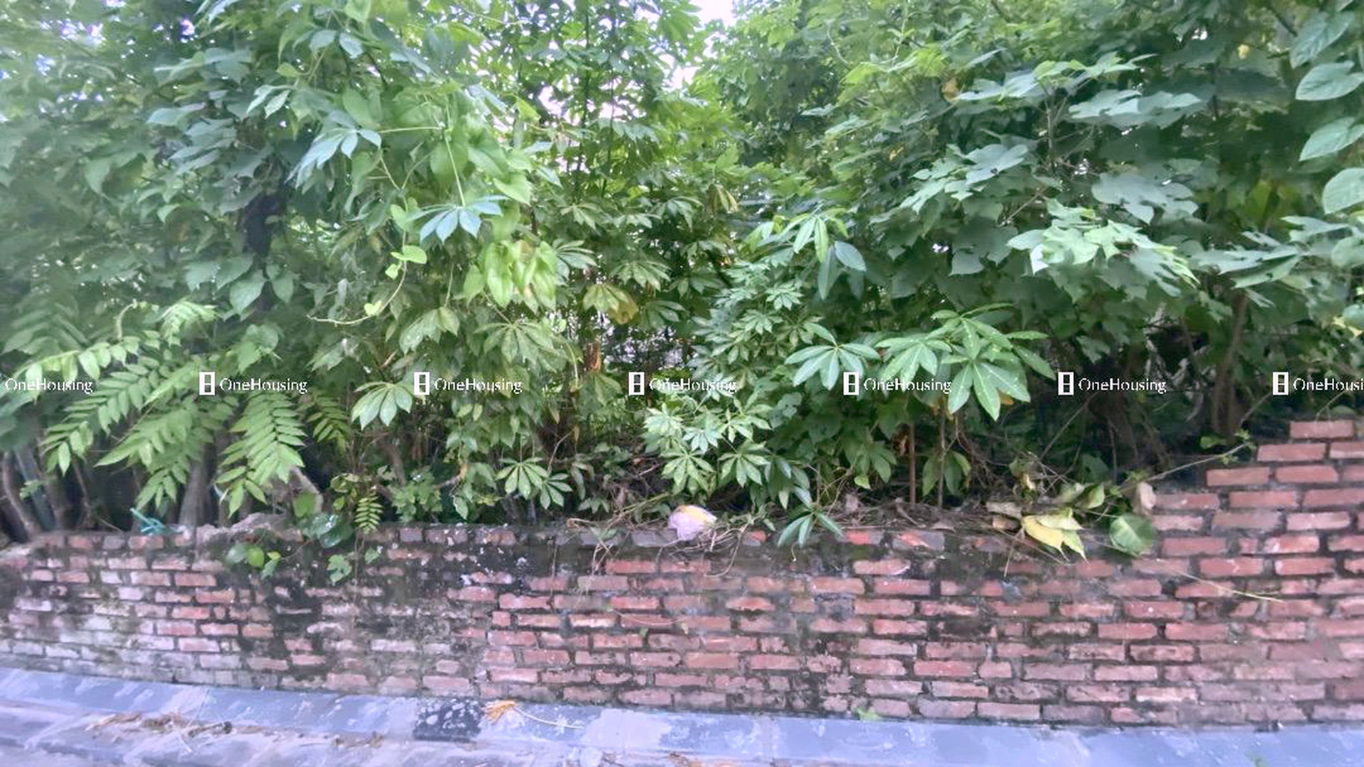 Đất nền cách Cầu Kênh giữa đi UBND xã Kim Nỗ đến di tích Viên Nội 10m, X. Mai Lâm, H. Đông Anh, TP. Hà Nội