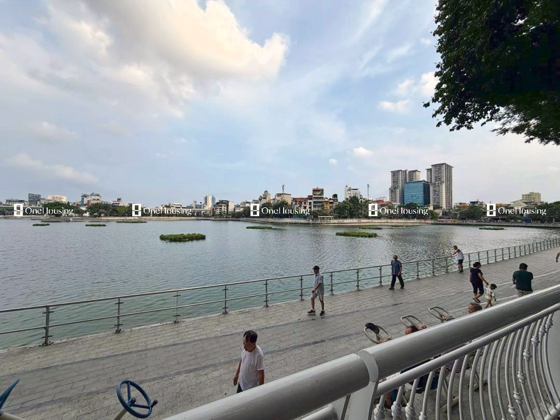 Nhà mặt phố Mai Anh Tuấn, P. Thành Công, Q. Ba Đình, TP. Hà Nội