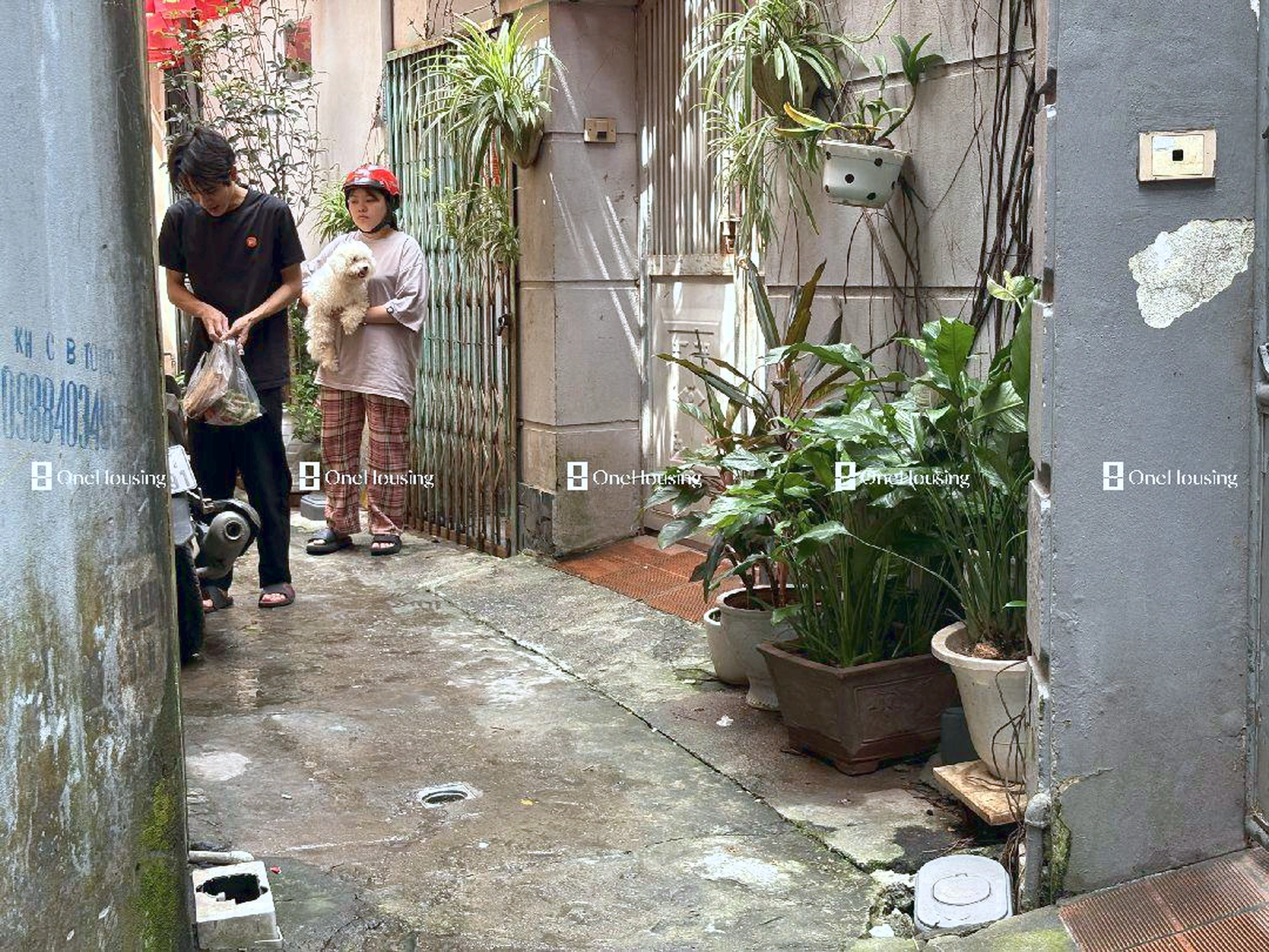 Onehousing image