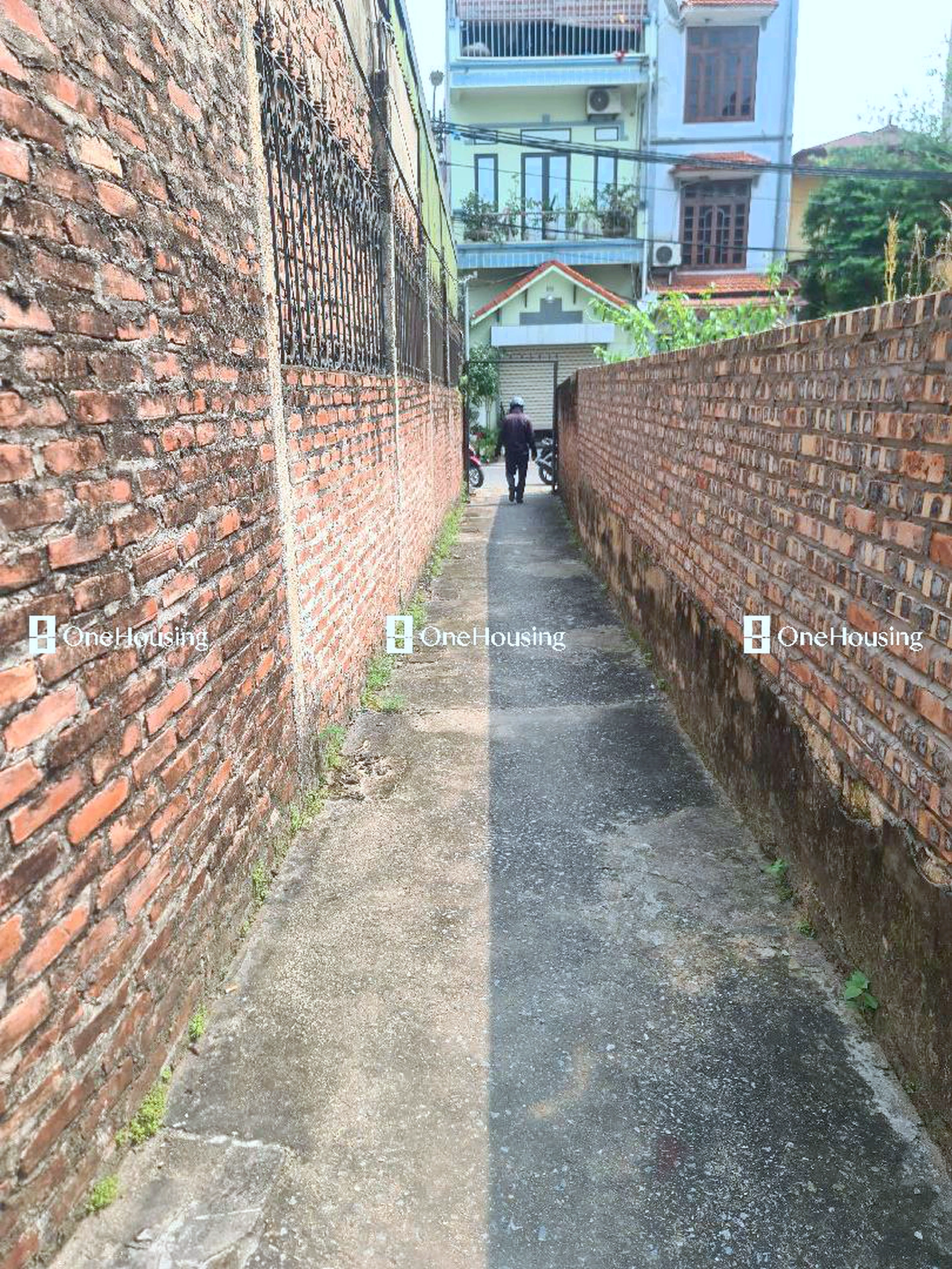Đất nền cách Đường từ hết địa phận thị trấn Trâu Quỳ đi ngã ba Đa Tốn 50m, TT. Trâu Quỳ, H. Gia Lâm, TP. Hà Nội