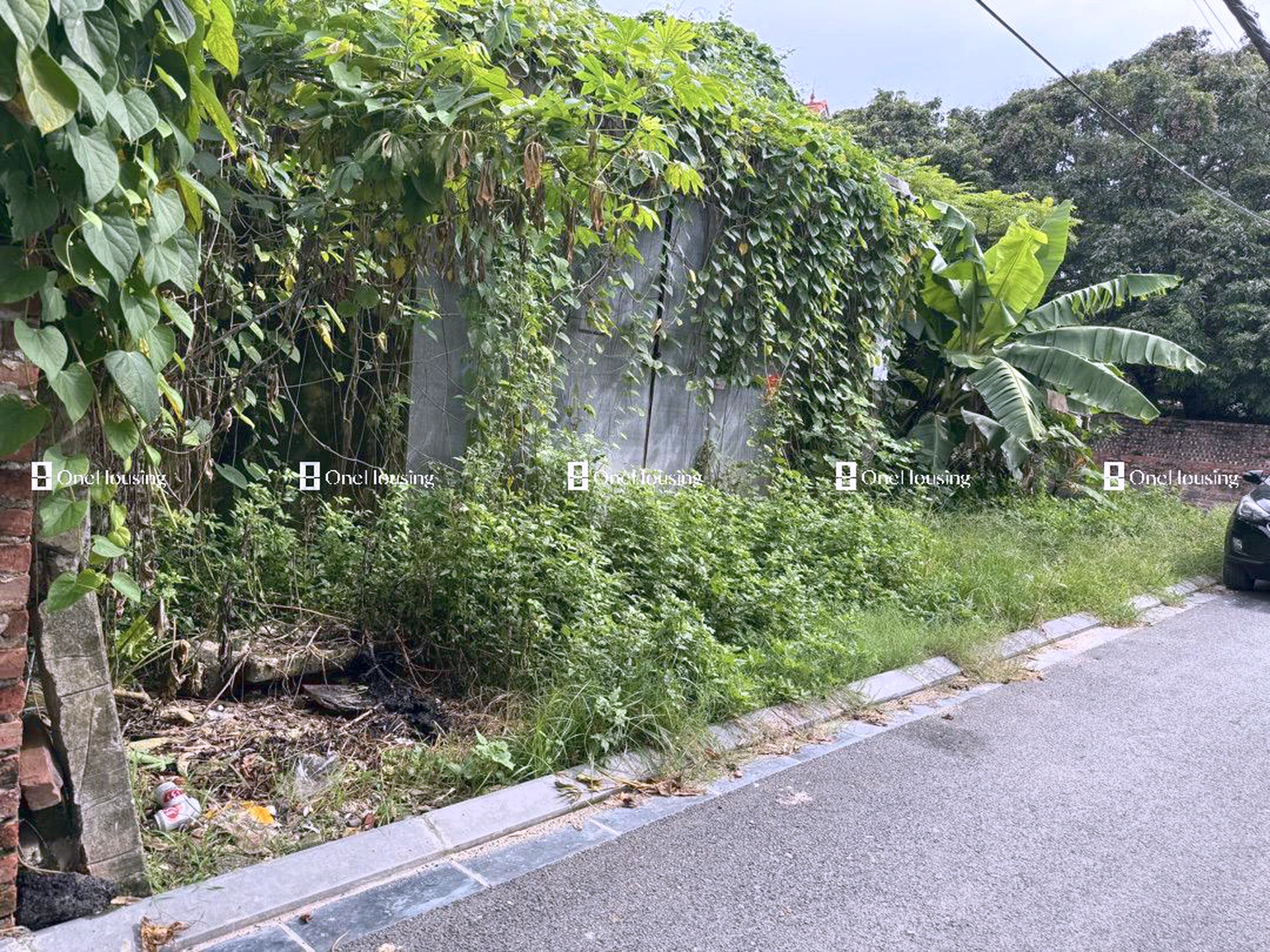 Đất nền cách Đường từ ngã ba giao cắt đường QL3 qua khu đất TĐC Bộ Công An qua UBND xã Mai Lâm đến đê sông Đuống 100m, X. Mai Lâm, H. Đông Anh, TP. Hà Nội