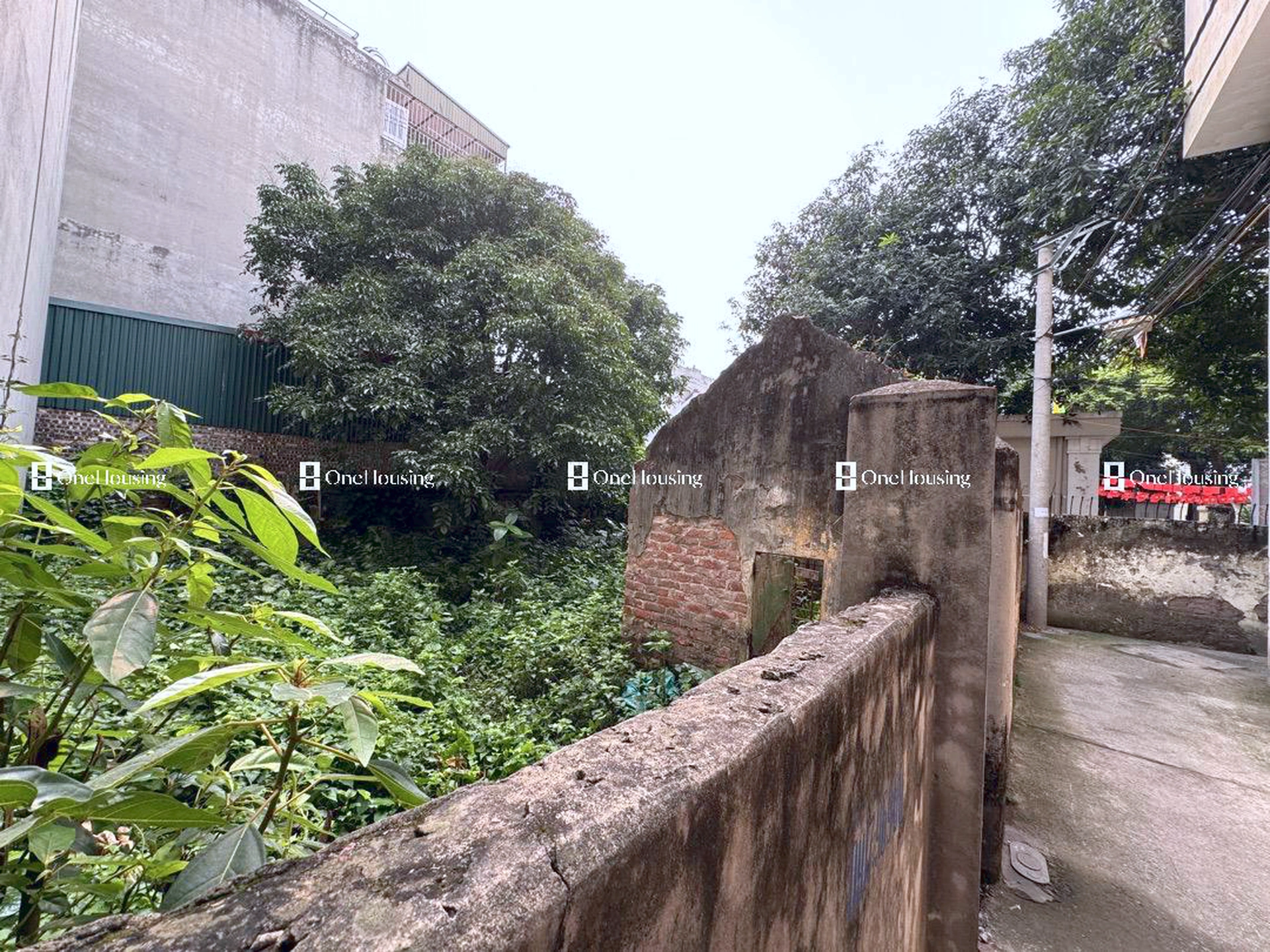 Đất nền cách Thạch Cầu 80m, P. Long Biên, Q. Long Biên, TP. Hà Nội