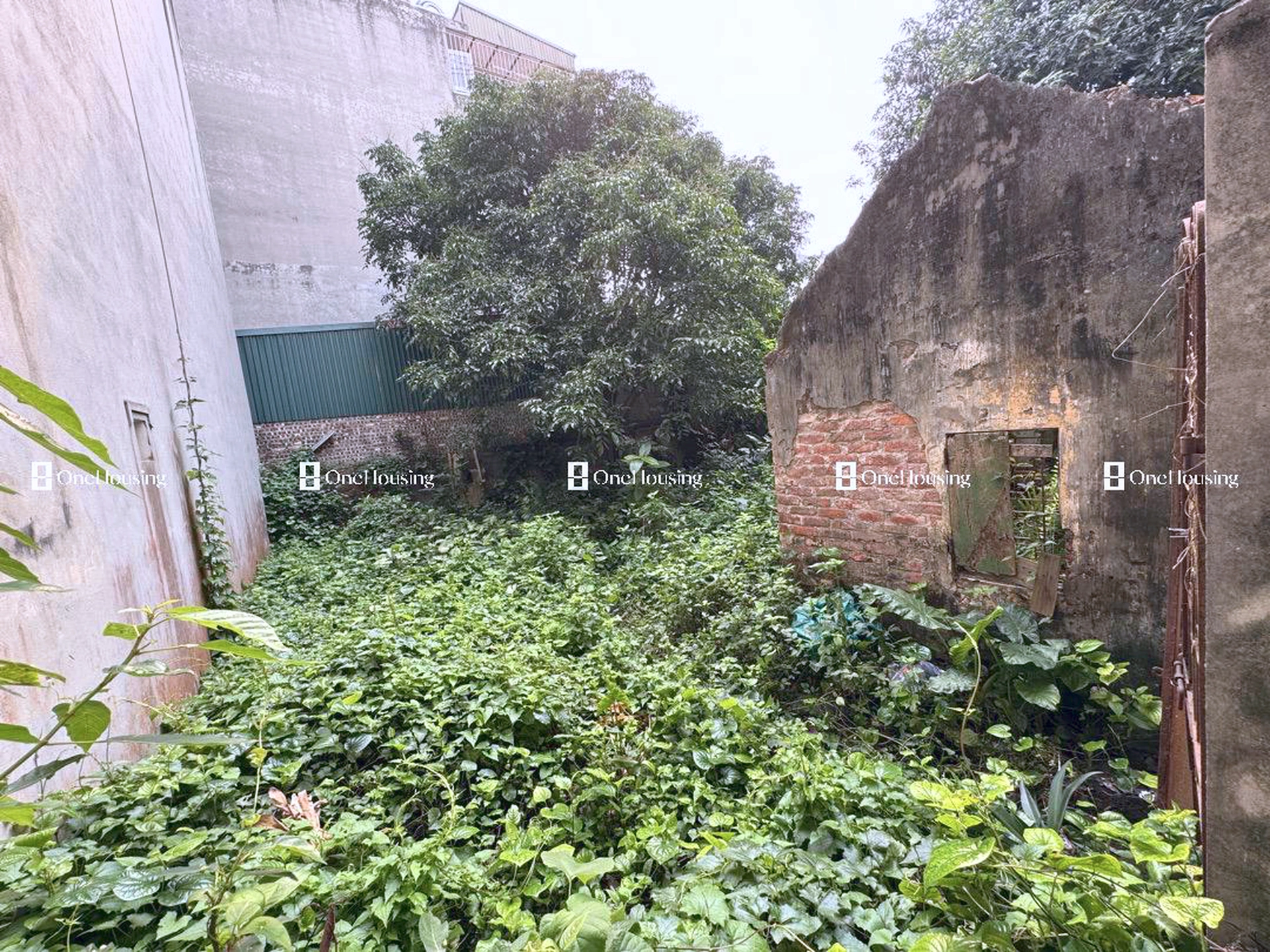 Đất nền cách Thạch Cầu 80m, P. Long Biên, Q. Long Biên, TP. Hà Nội