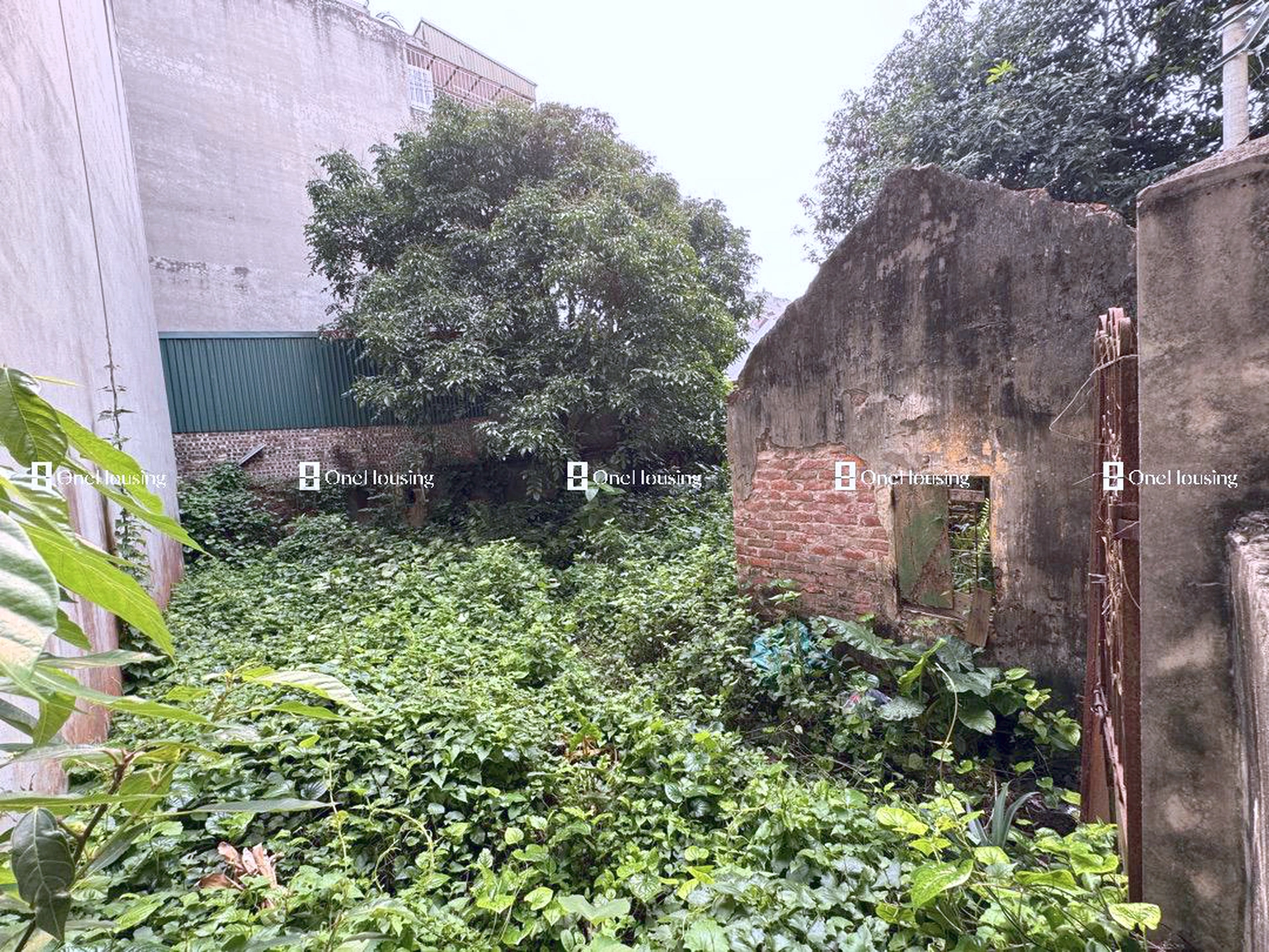 Đất nền cách Thạch Cầu 80m, P. Long Biên, Q. Long Biên, TP. Hà Nội