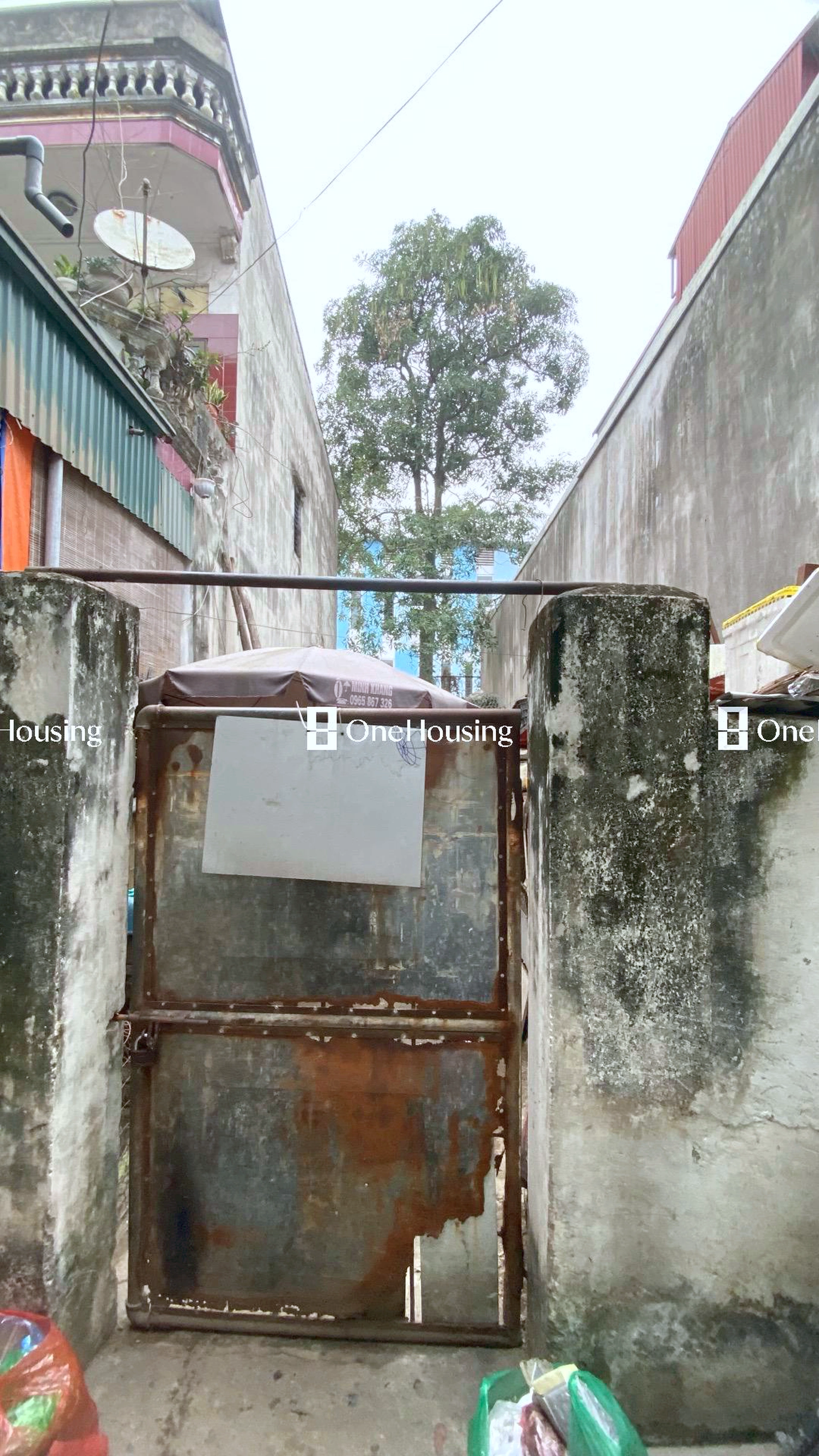 Đất nền cách Ngọc Lâm 30m, P. Ngọc Lâm, Q. Long Biên, TP. Hà Nội