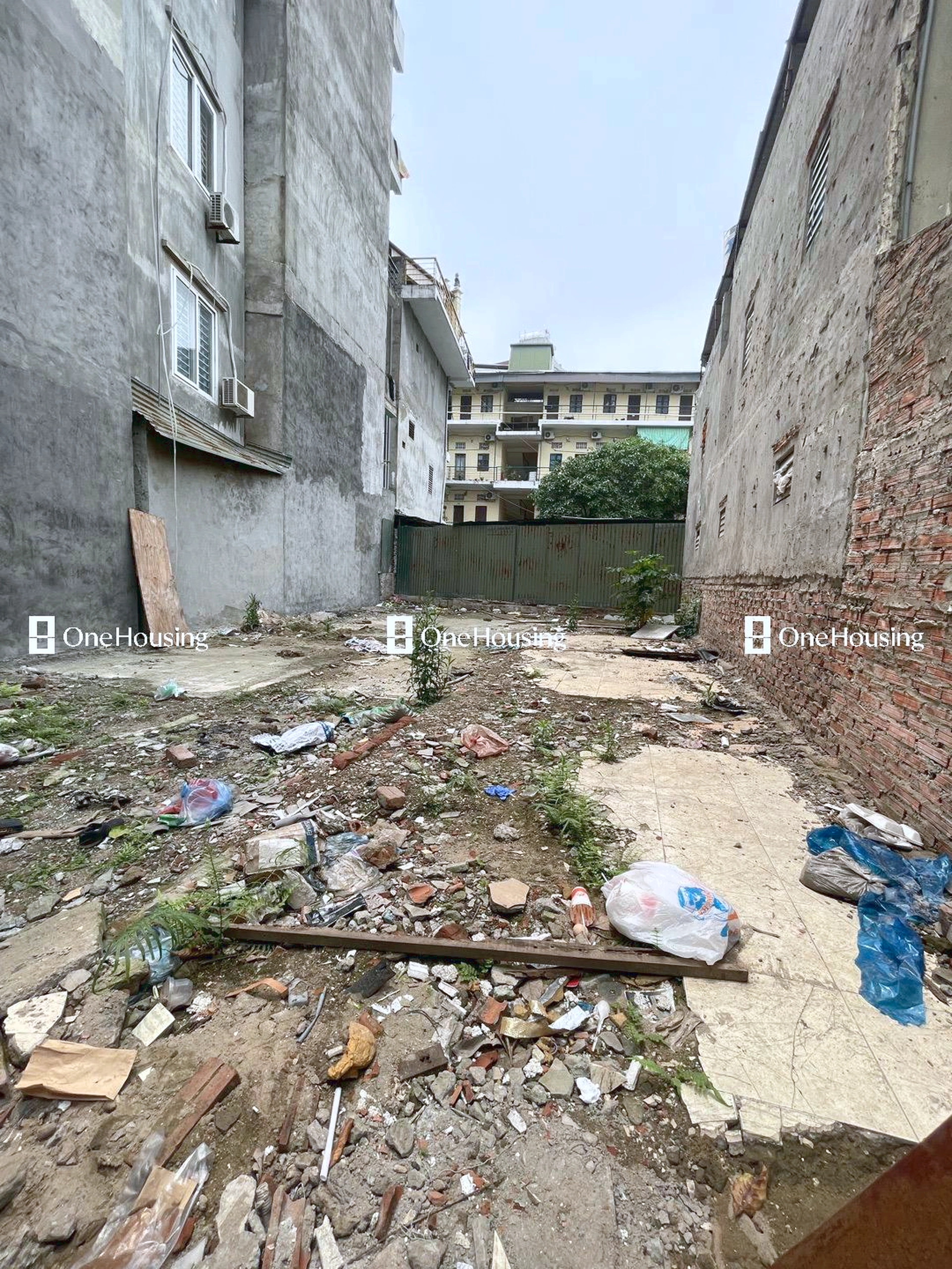 Đất nền cách Trần Thái Tông 80m, P. Dịch Vọng Hậu, Q. Cầu Giấy, TP. Hà Nội