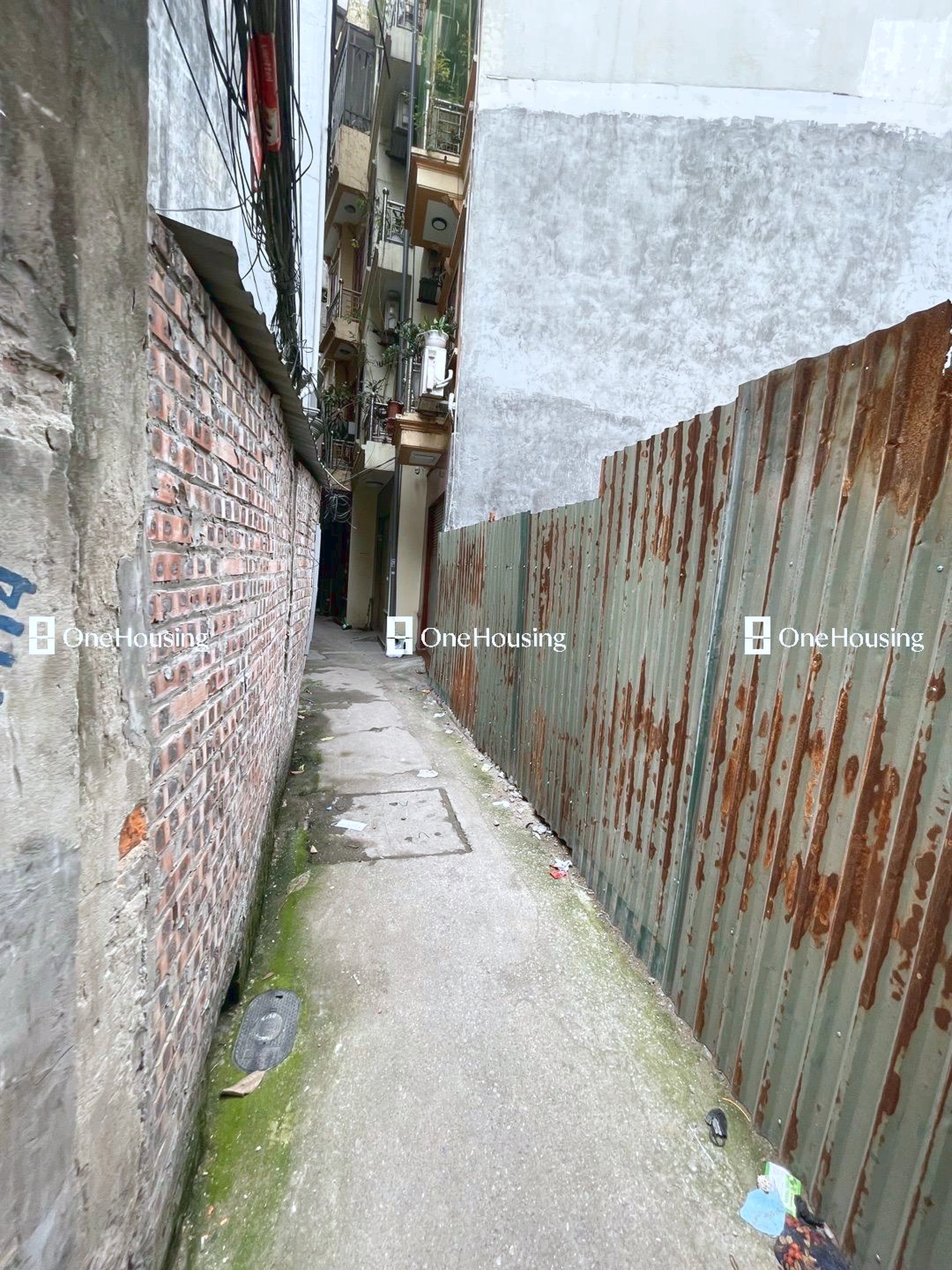 Đất nền cách Trần Thái Tông 80m, P. Dịch Vọng Hậu, Q. Cầu Giấy, TP. Hà Nội