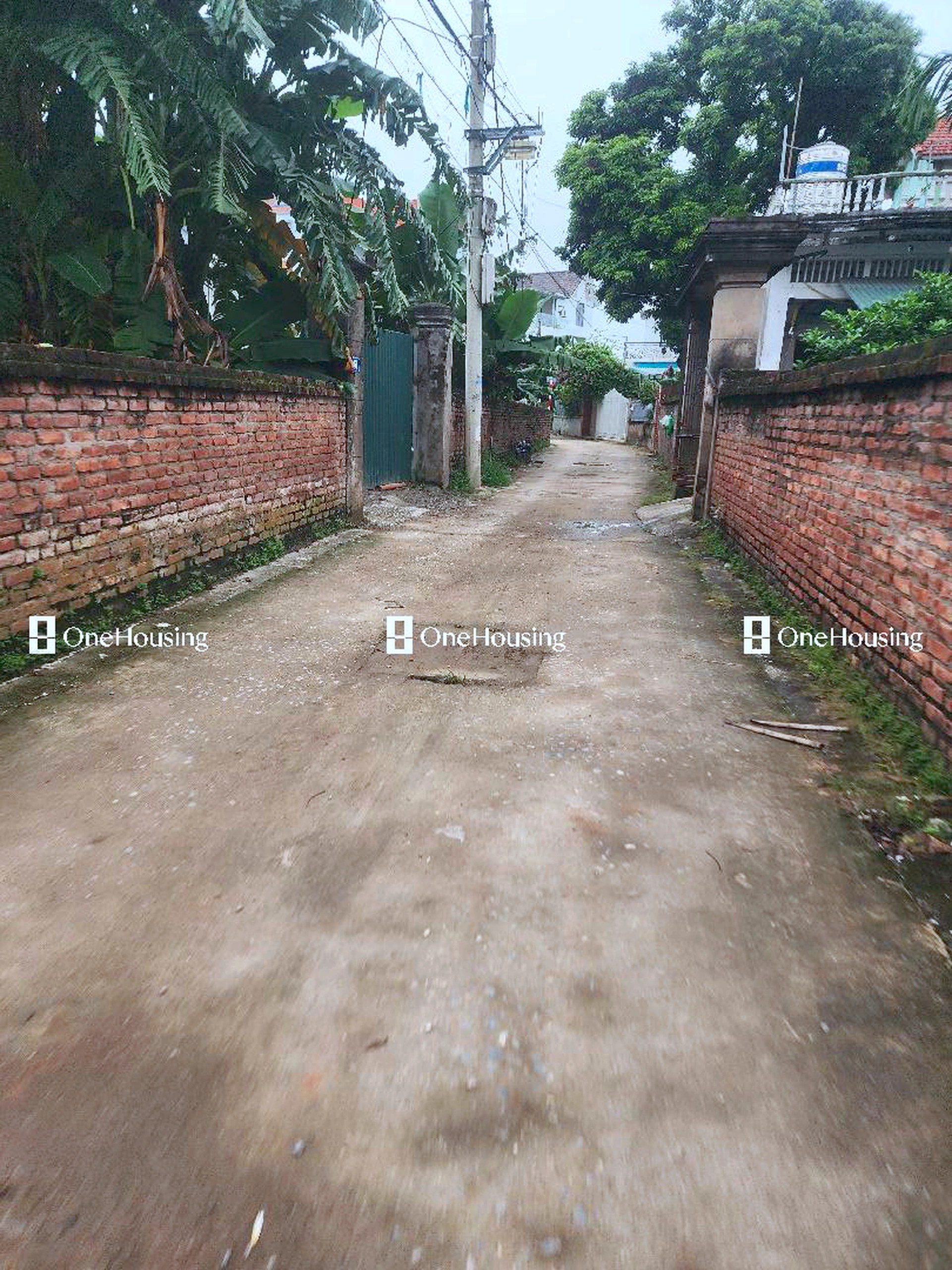 Đất nền cách Xuân Khôi 100m, P. Cự Khối, Q. Long Biên, TP. Hà Nội