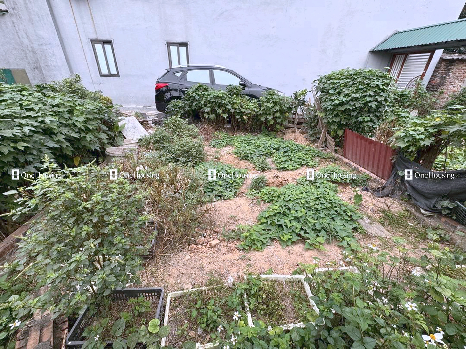 Đất nền cách Đường Uy Nỗ 50m, TT. Đông Anh, H. Đông Anh, TP. Hà Nội