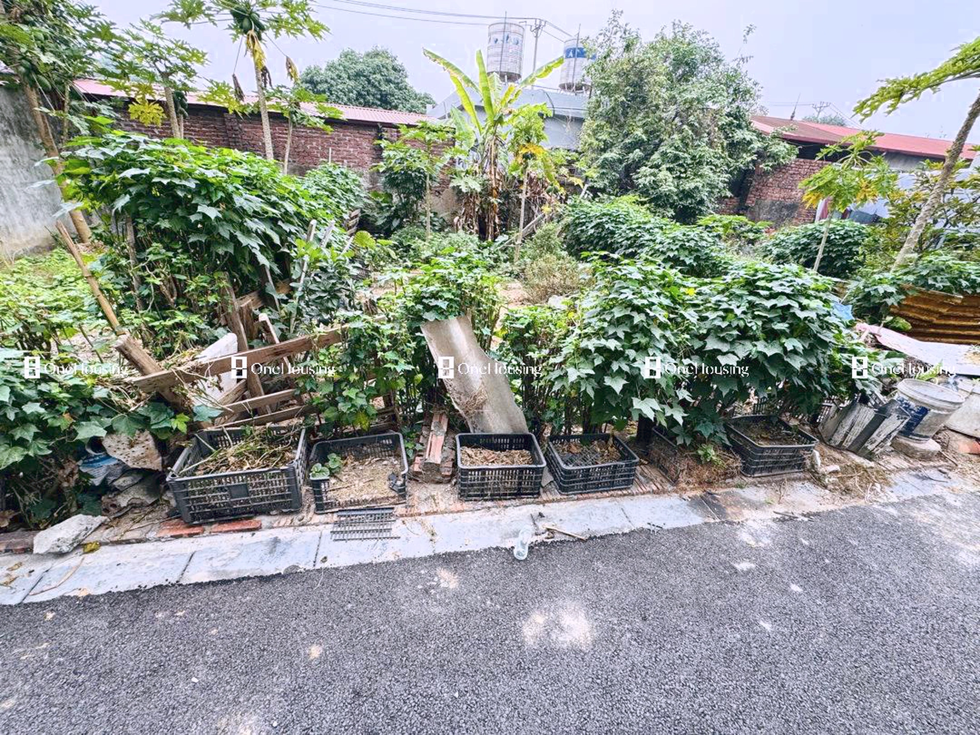 Đất nền cách Đường Uy Nỗ 50m, TT. Đông Anh, H. Đông Anh, TP. Hà Nội