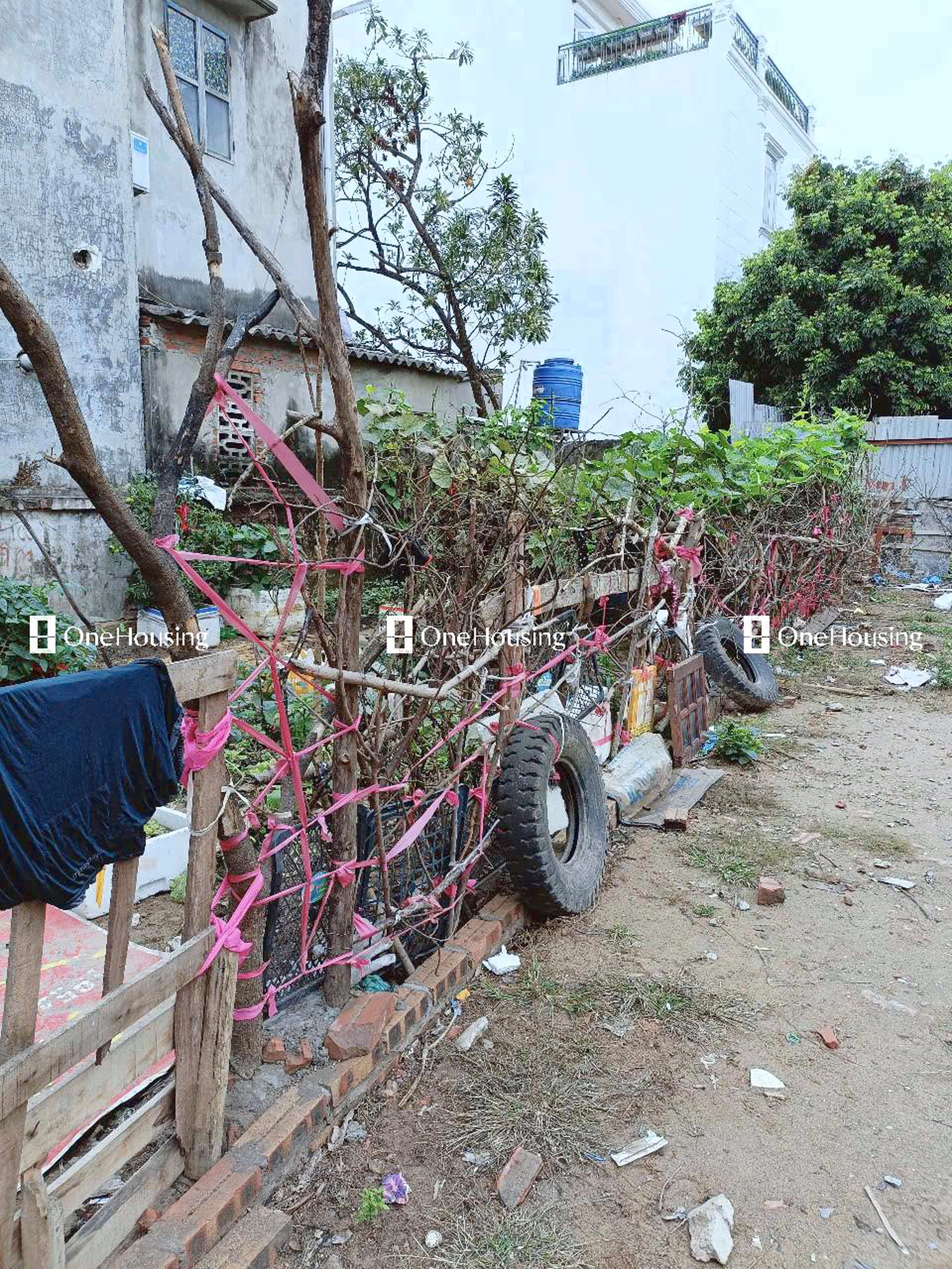 Đất nền cách Thanh Am 10m, P. Thượng Thanh, Q. Long Biên, TP. Hà Nội