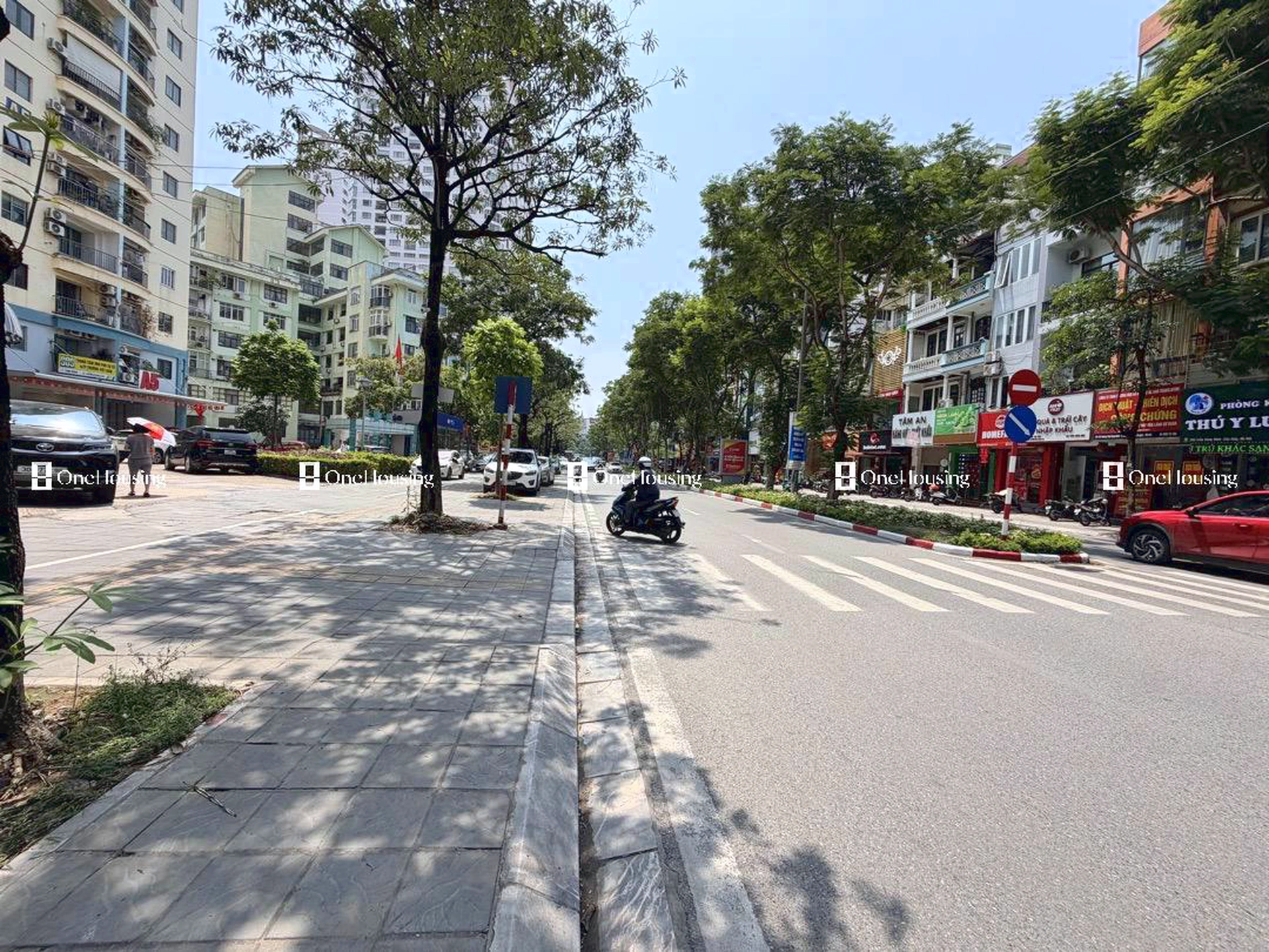 Nhà mặt phố Trần Đăng Ninh, P. Dịch Vọng, Q. Cầu Giấy, TP. Hà Nội