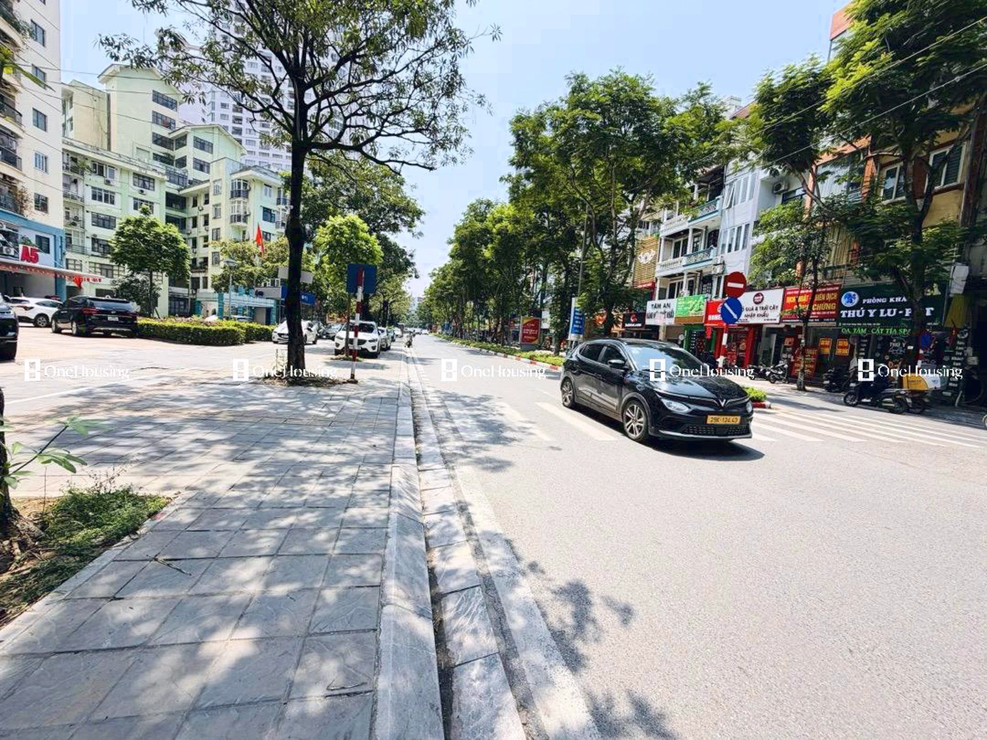 Nhà mặt phố Trần Đăng Ninh, P. Dịch Vọng, Q. Cầu Giấy, TP. Hà Nội