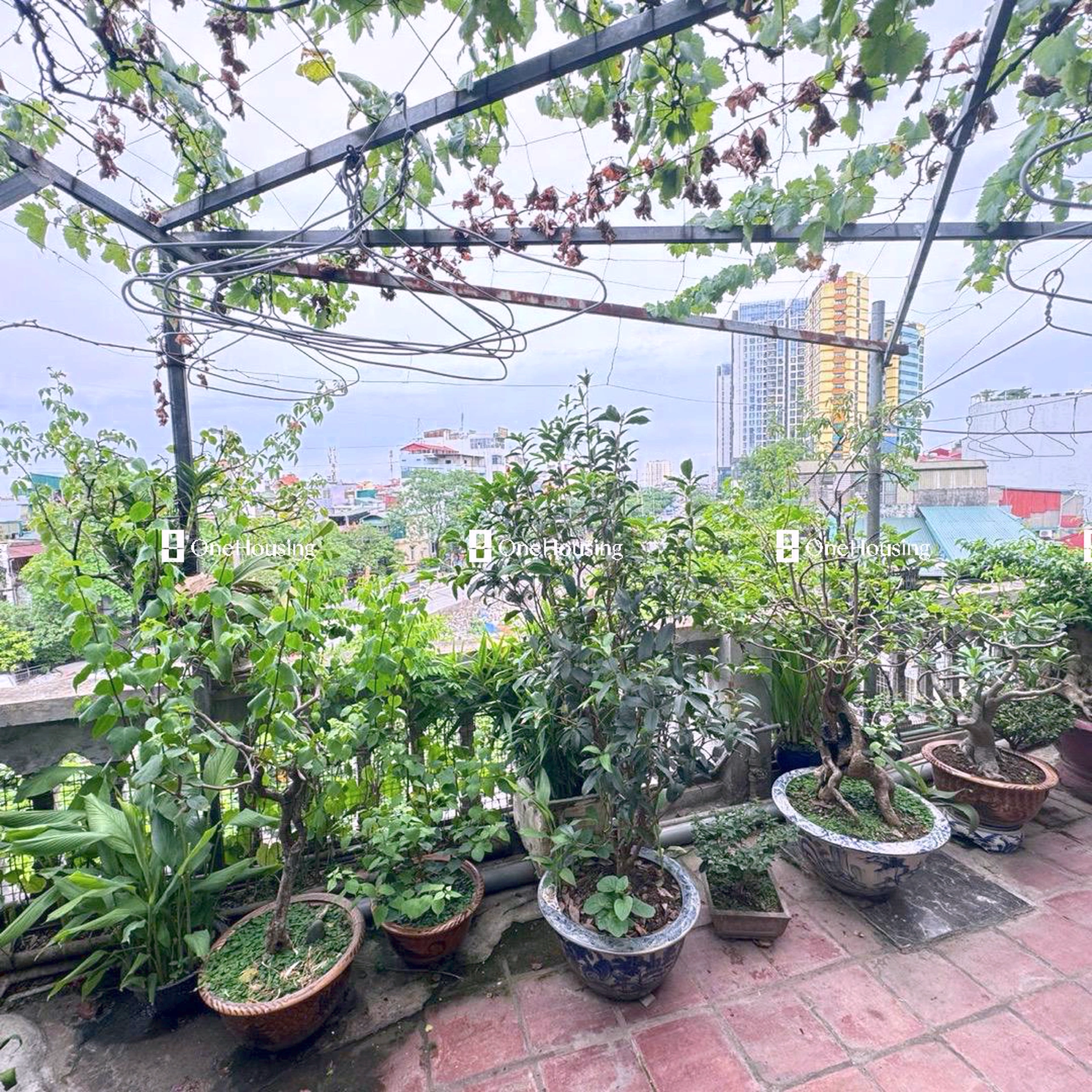 Nhà mặt phố Nguyễn Huy Tự, P. Bạch Đằng, Q. Hai Bà Trưng, TP. Hà Nội