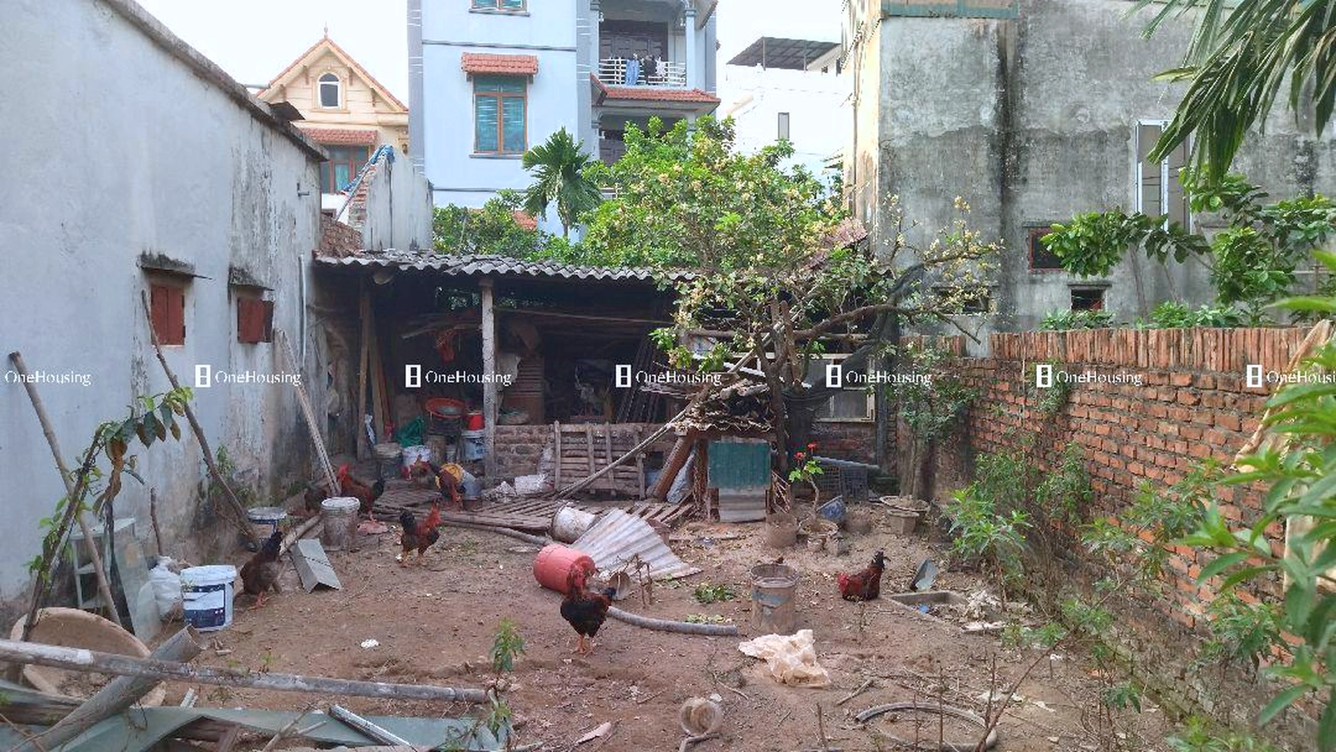 Đất nền Thôn 8, X. Yên Sở, H. Hoài Đức, TP. Hà Nội