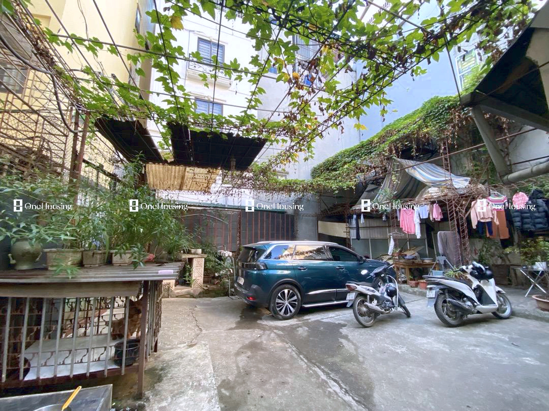 Nhà mặt ngõ cách Bùi Xương Trạch 180m, P. Khương Đình, Q. Thanh Xuân, TP. Hà Nội