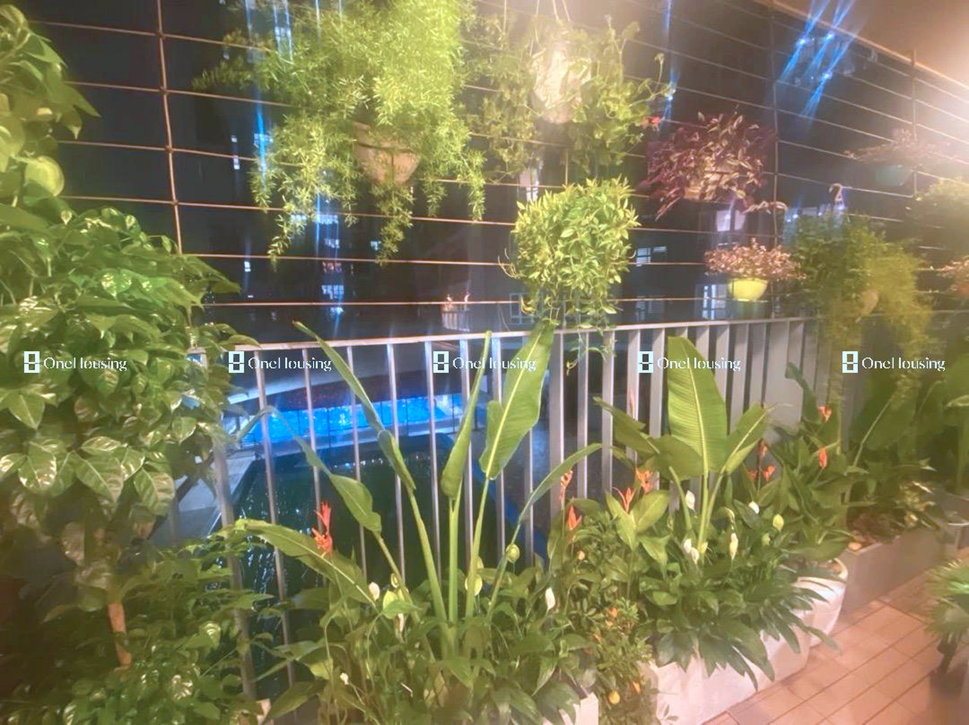 Nhà mặt phố Hoàng Đạo Thúy, P. Trung Hòa, Q. Cầu Giấy, TP. Hà Nội