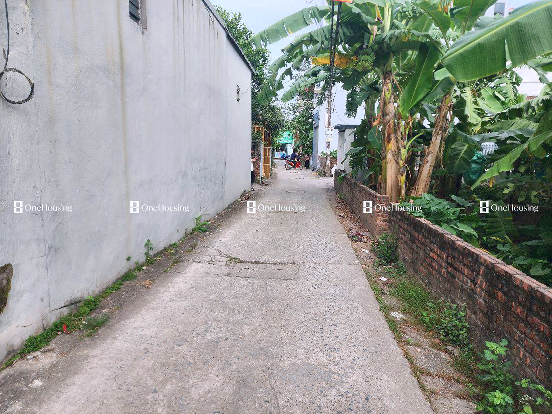 Đất nền cách Xuân Khôi 50m, P. Cự Khối, Q. Long Biên, TP. Hà Nội