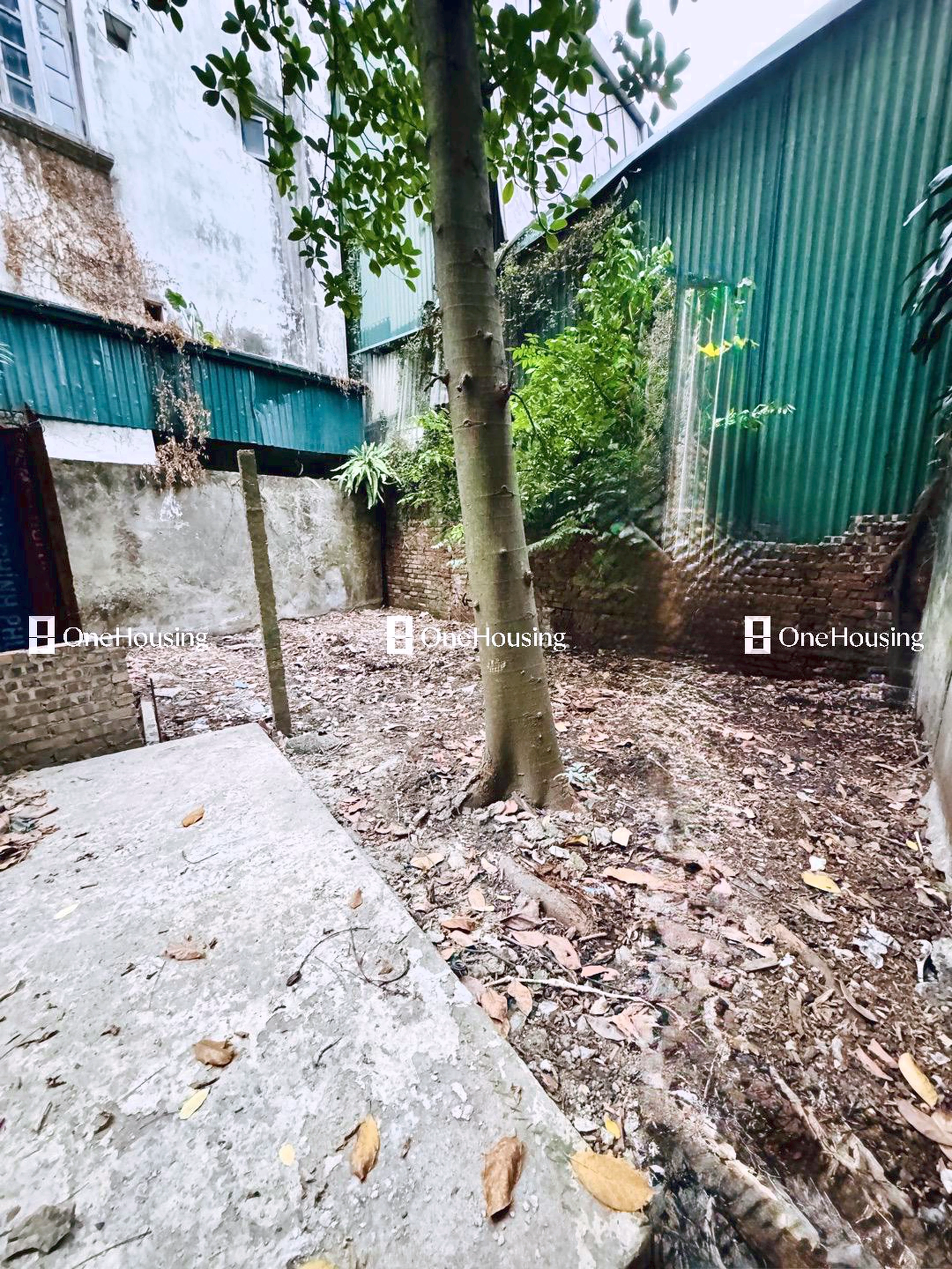 Đất nền cách Ngọc Hà 65m, P. Đội Cấn, Q. Ba Đình, TP. Hà Nội