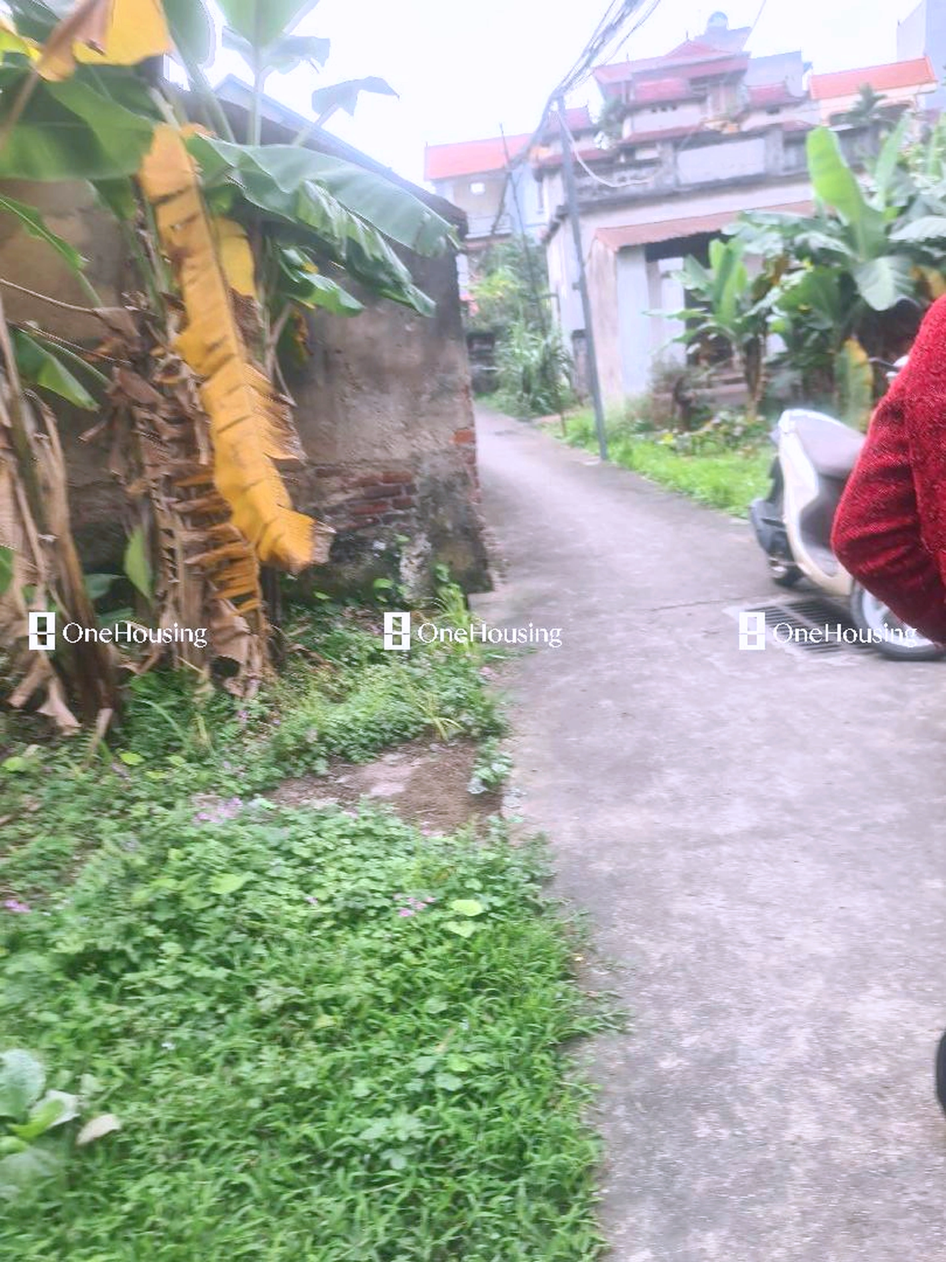 Nhà mặt ngõ cách Việt Hưng 100m, P. Việt Hưng, Q. Long Biên, TP. Hà Nội