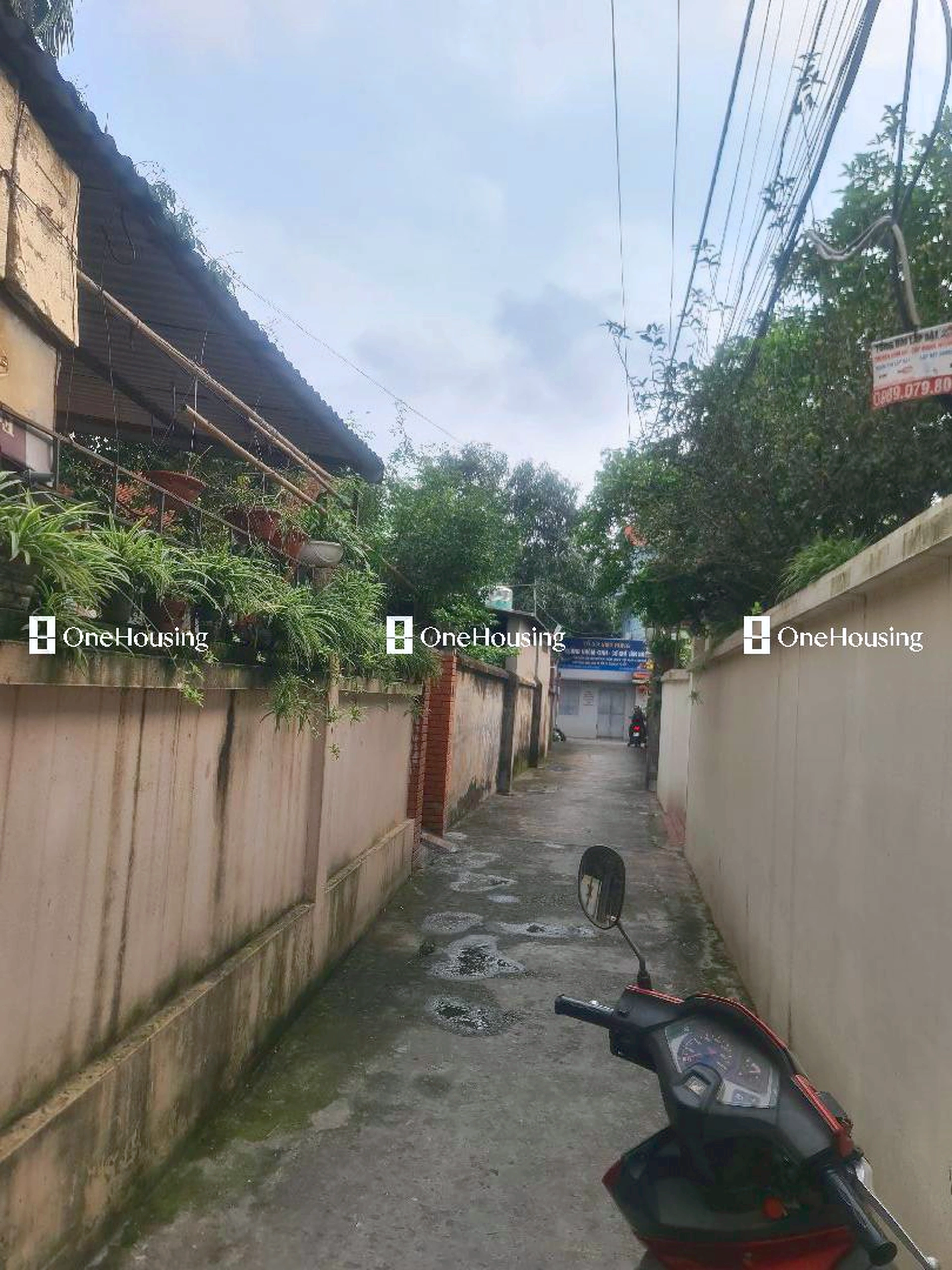 Nhà mặt ngõ cách Việt Hưng 100m, P. Việt Hưng, Q. Long Biên, TP. Hà Nội