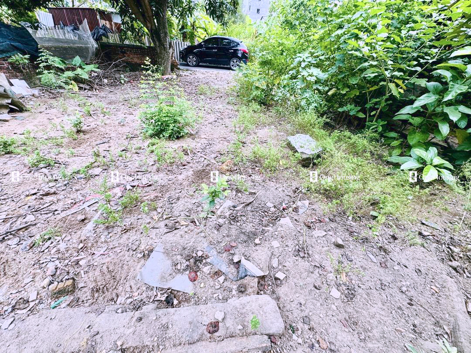 Đất nền cách Đản Mỗ 30m, X. Uy Nỗ, H. Đông Anh, TP. Hà Nội